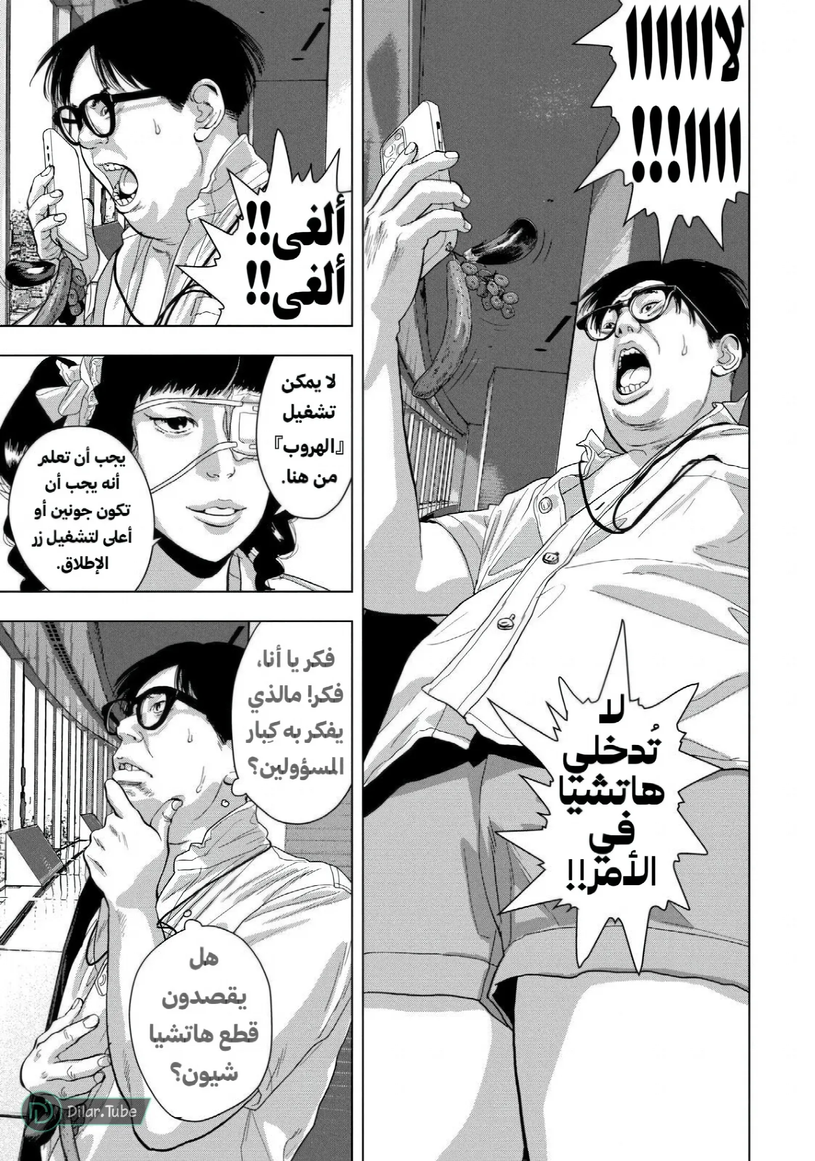 الصفحة 12