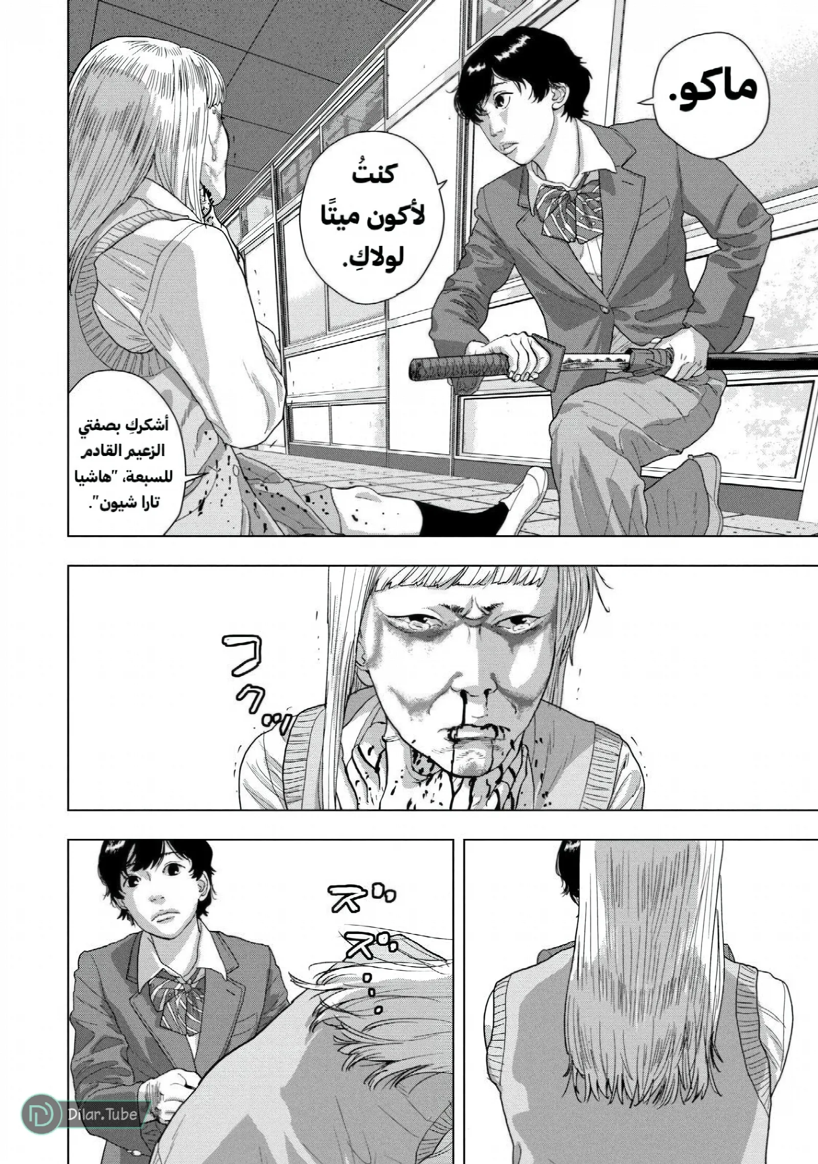 الصفحة 17