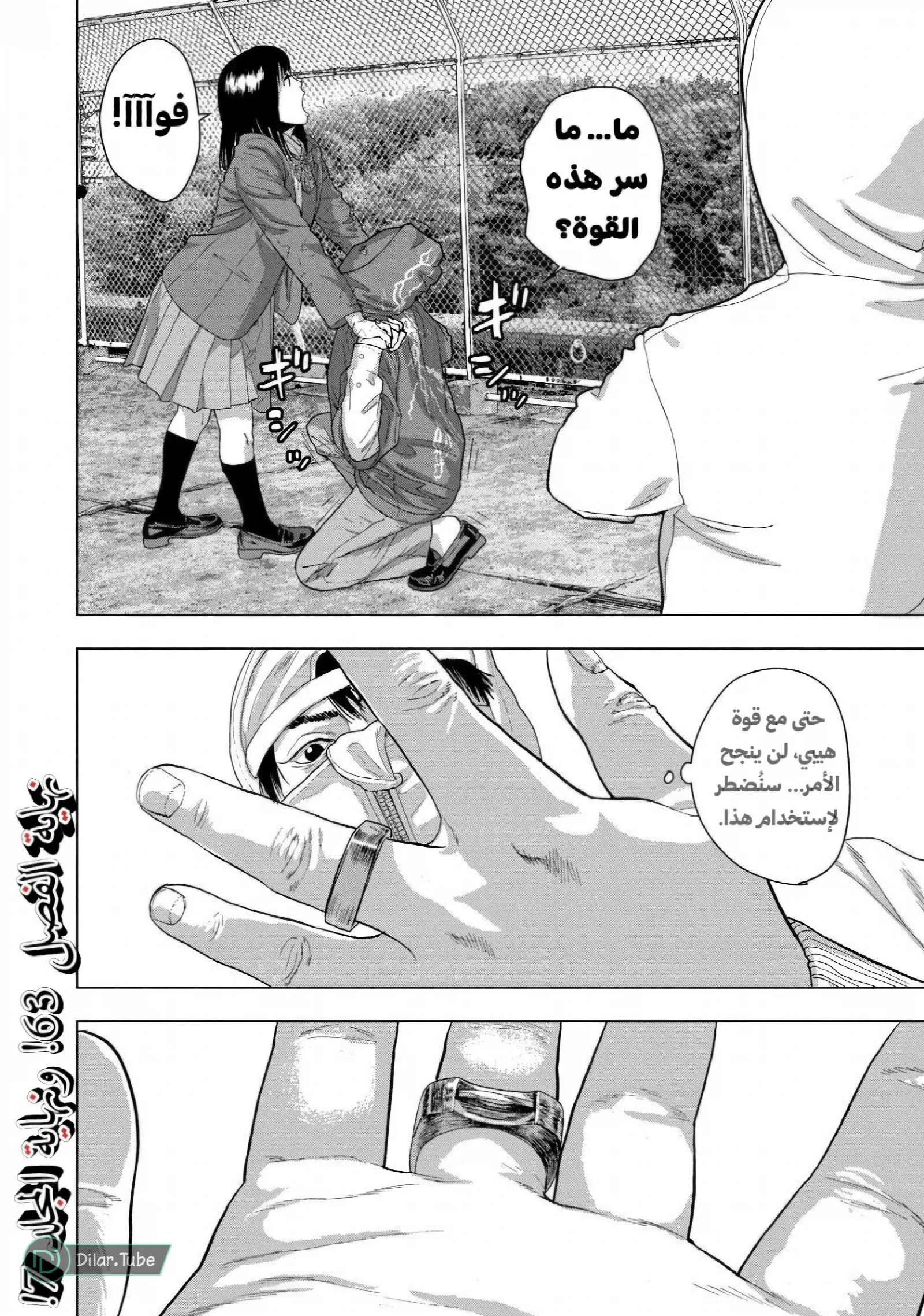 الصفحة 19