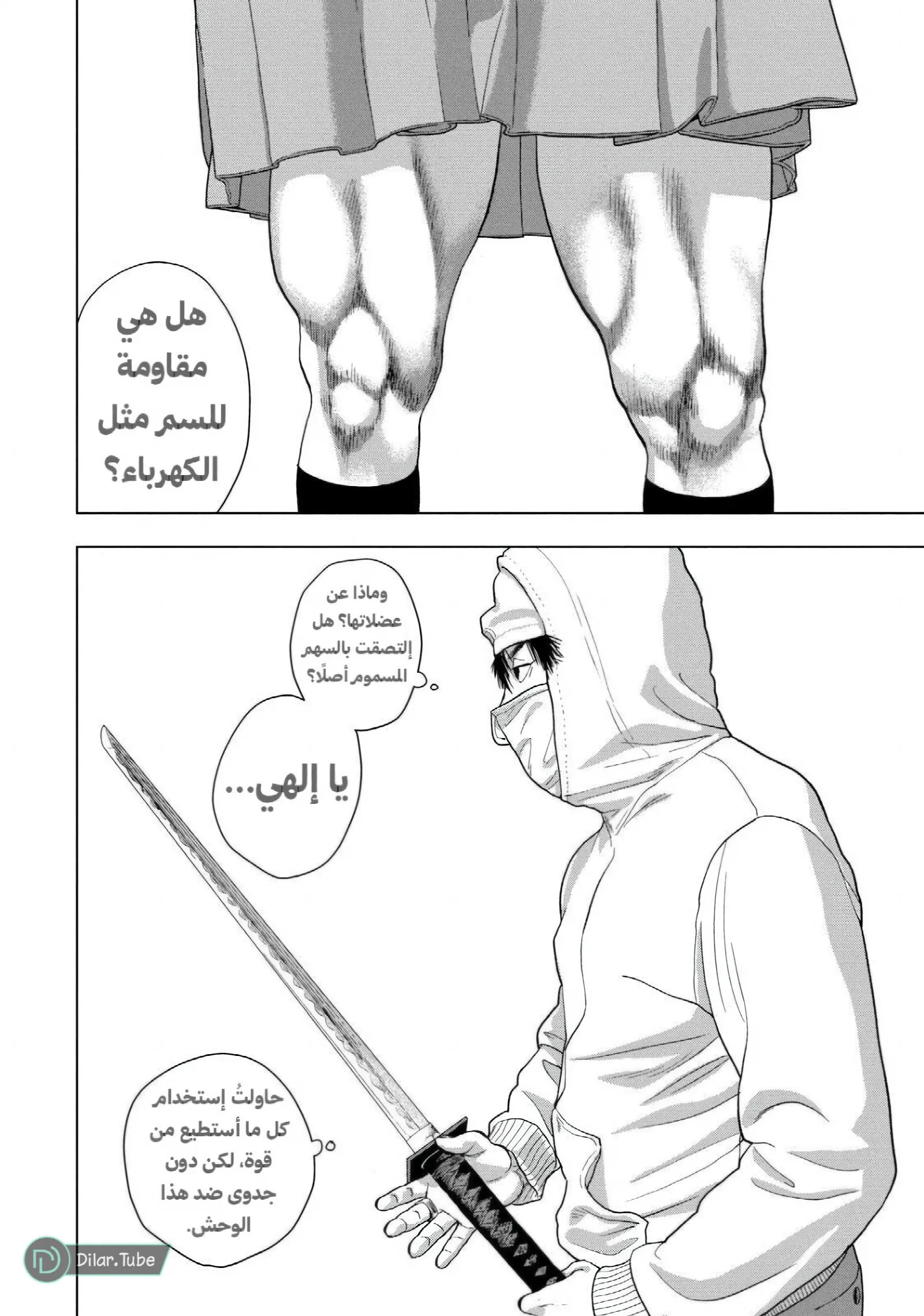 الصفحة 12