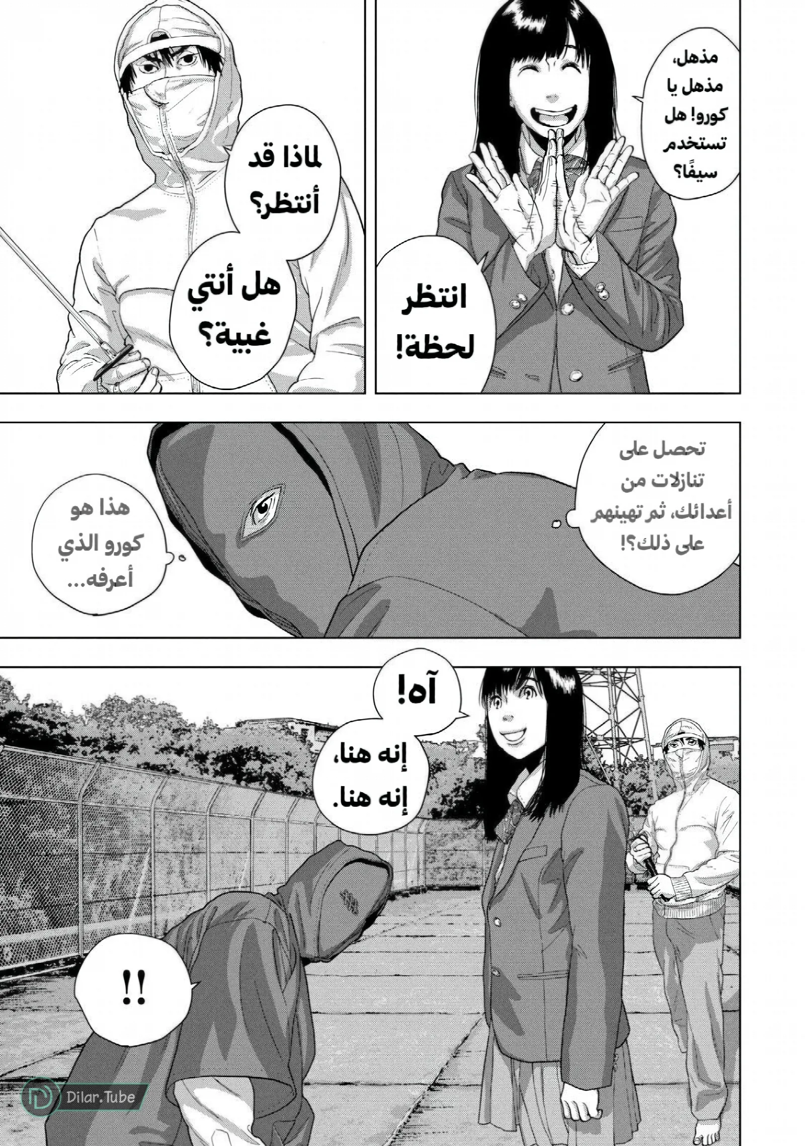 الصفحة 13