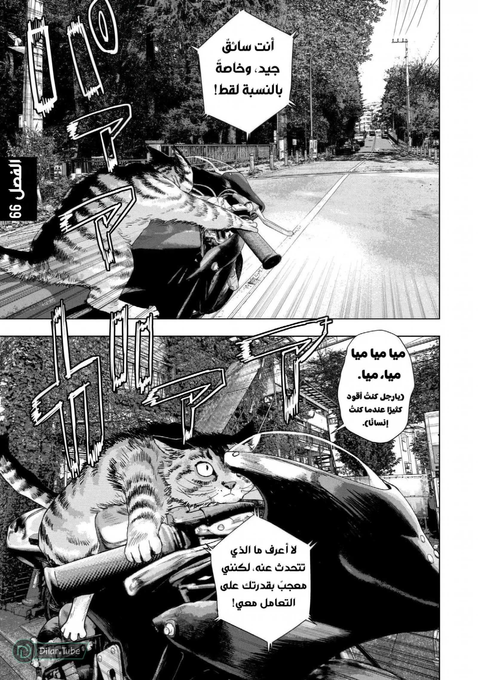 الصفحة 2