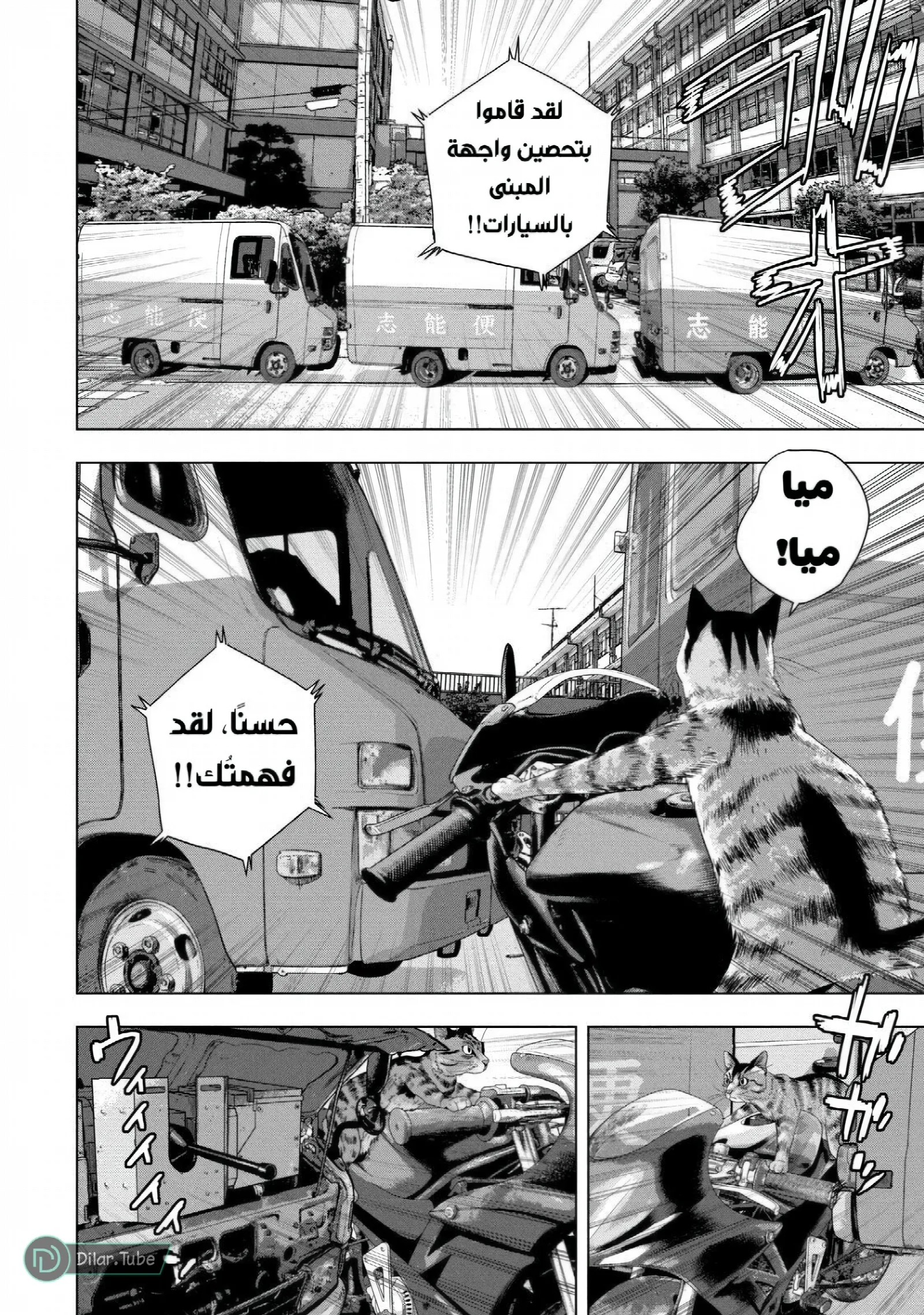 الصفحة 3