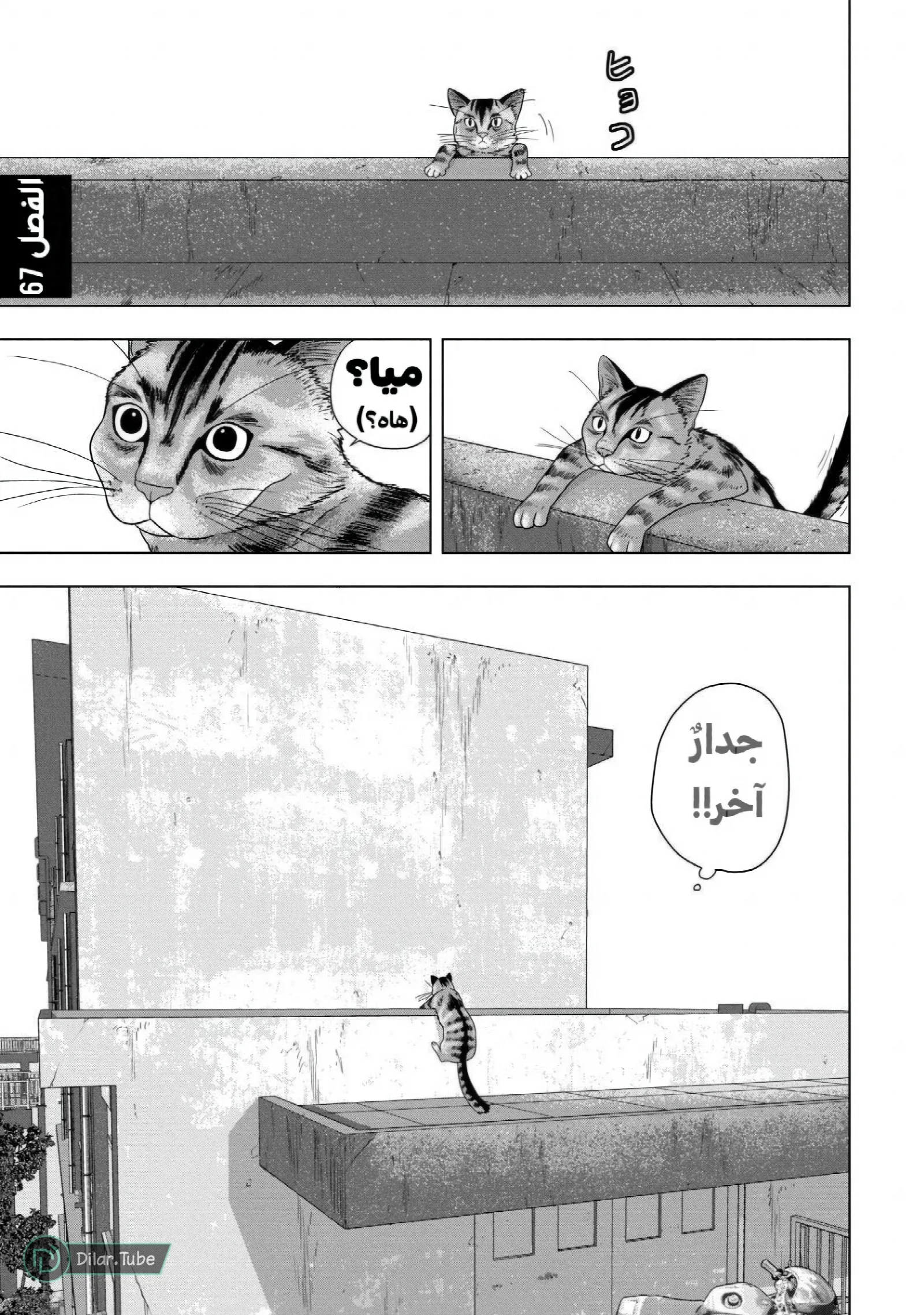 الصفحة 2