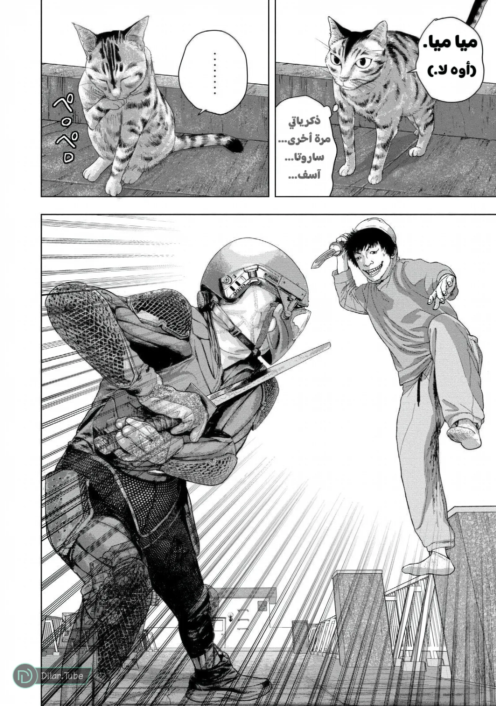 الصفحة 3