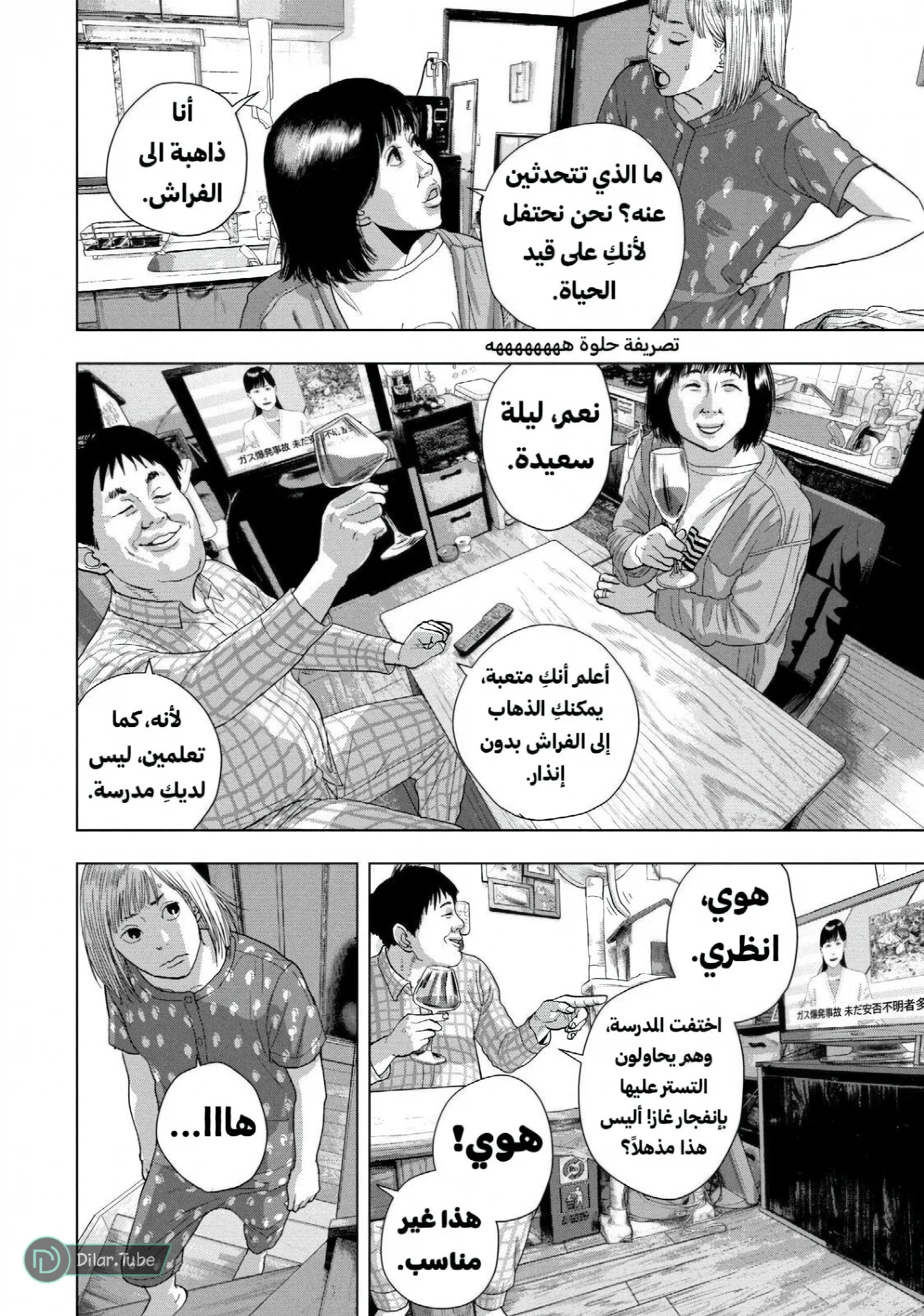 الصفحة 17