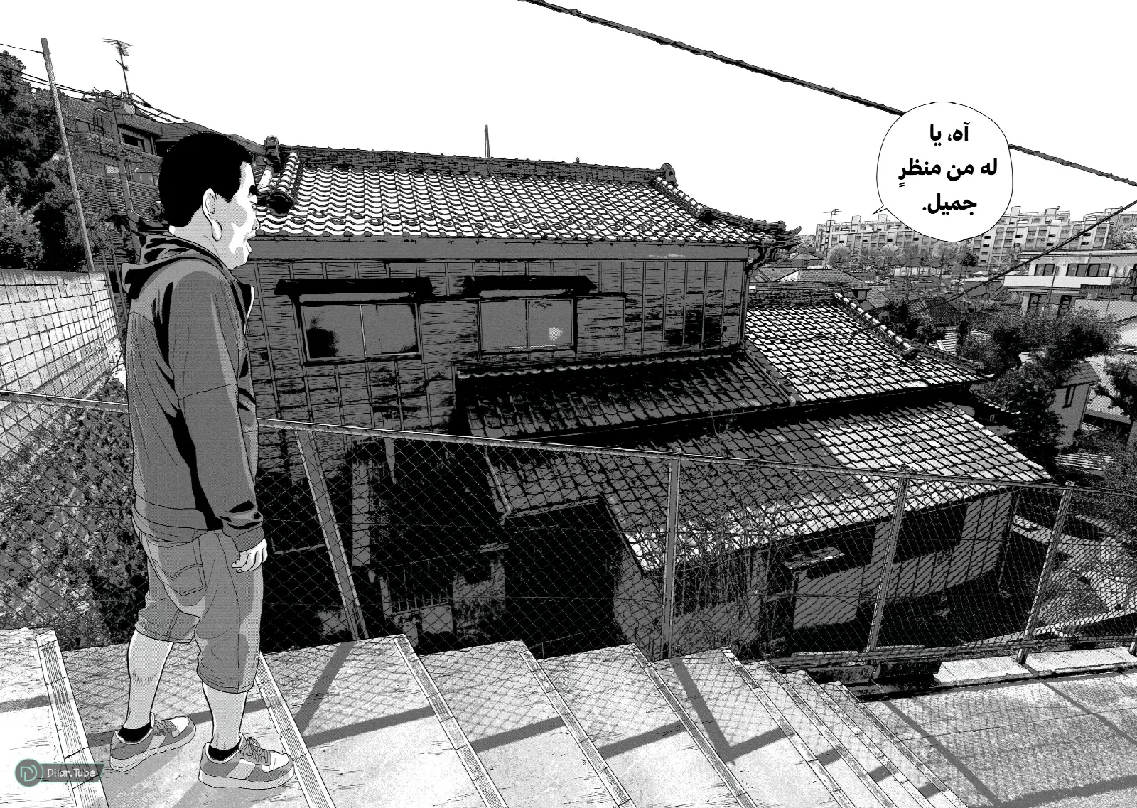الصفحة 19