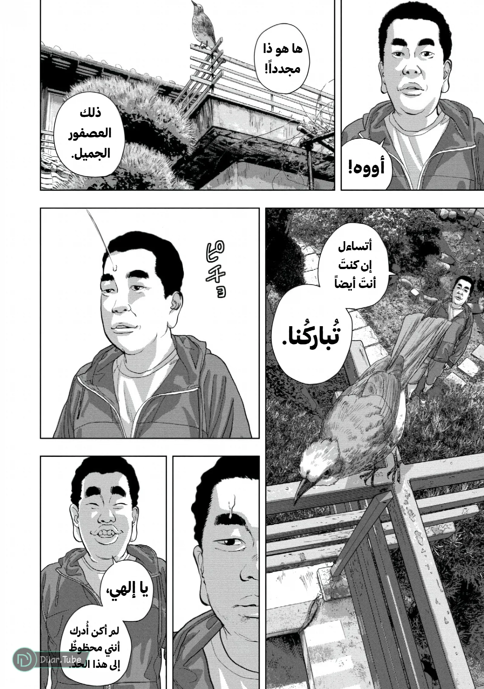 الصفحة 4