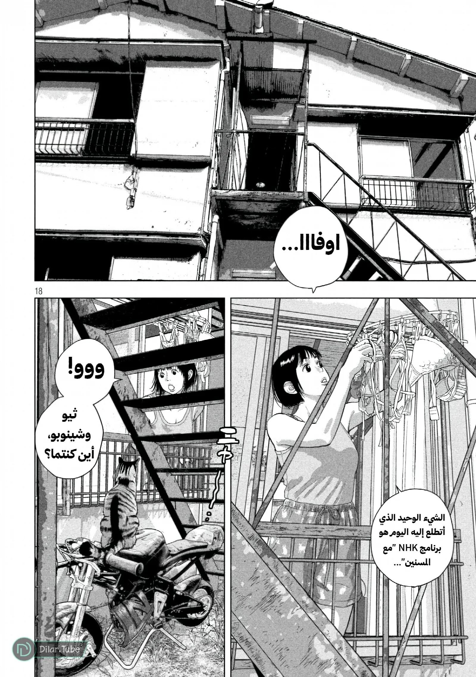 الصفحة 19