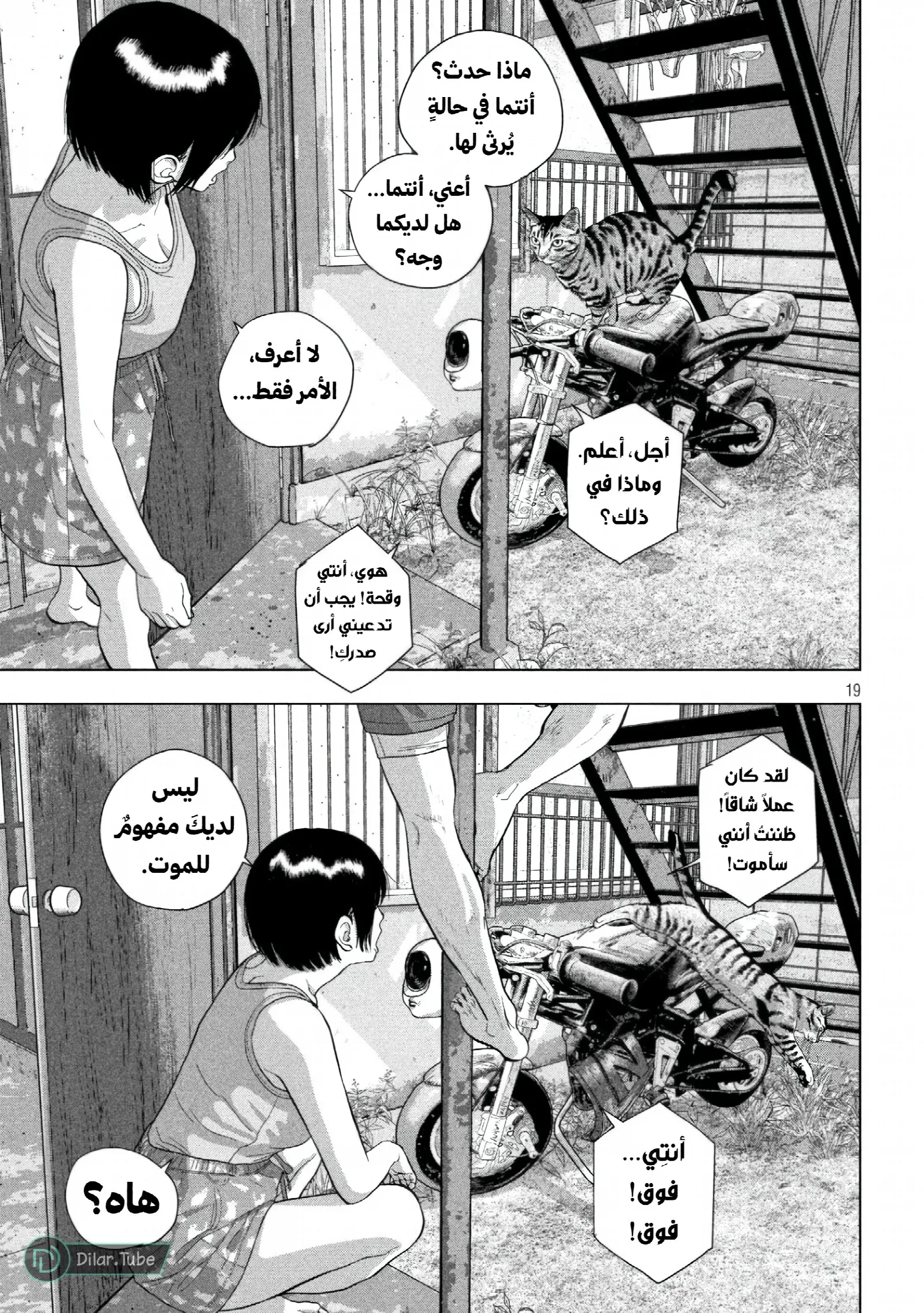 الصفحة 20