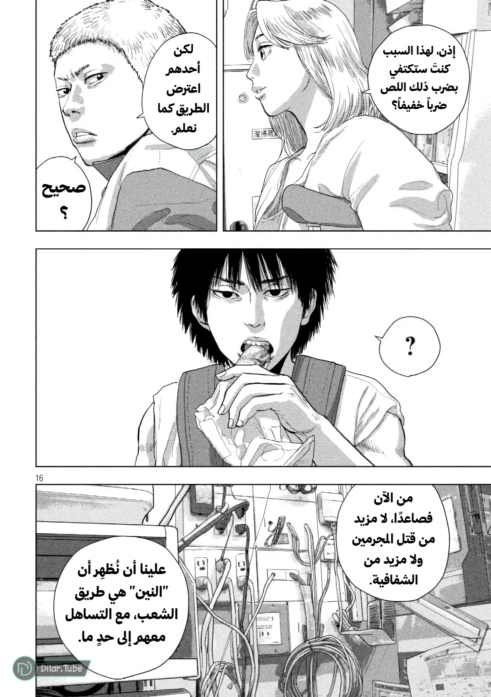 الصفحة 17