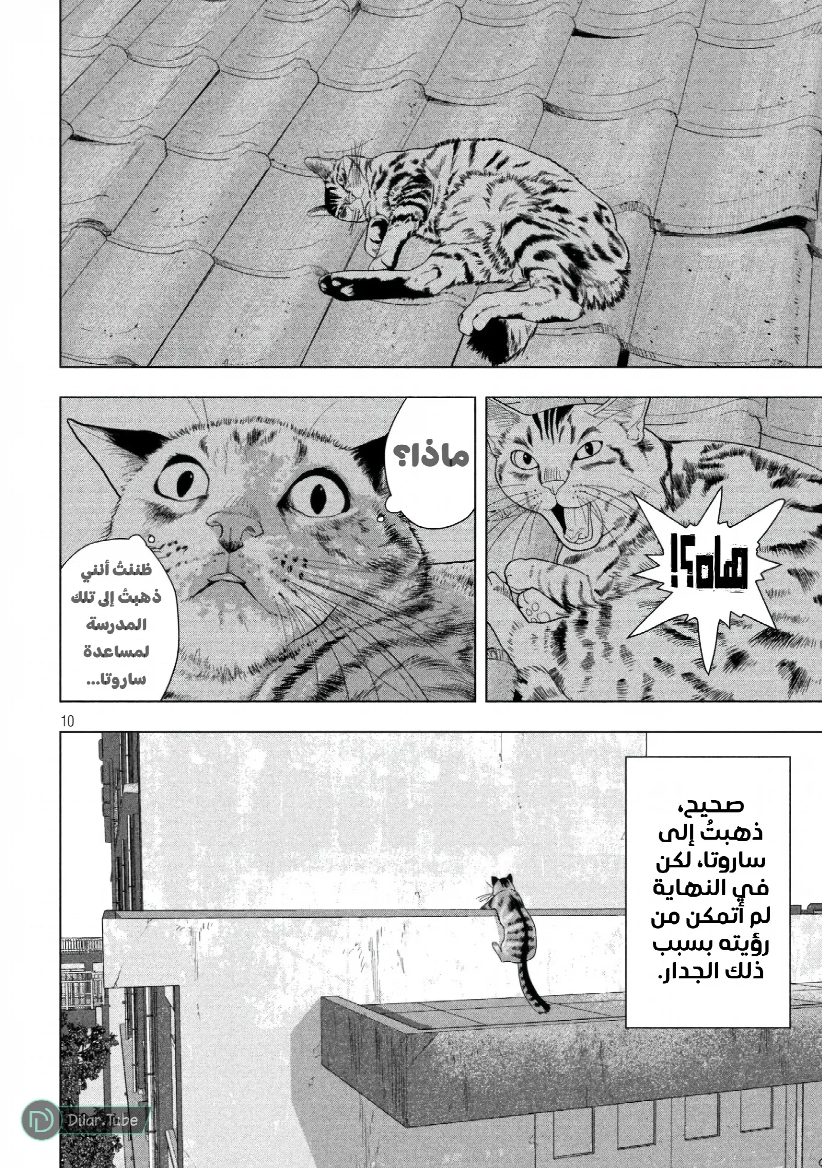 الصفحة 11