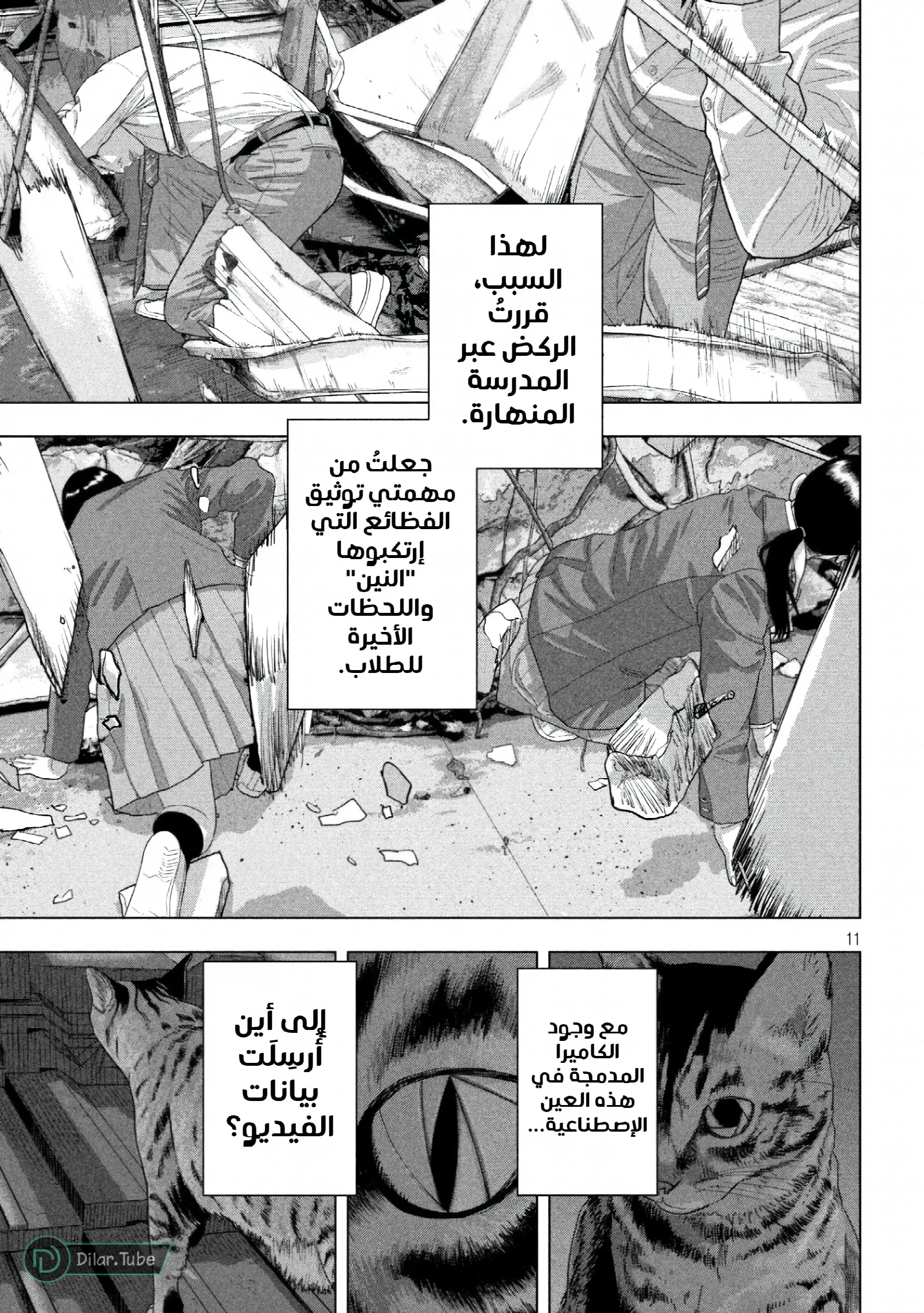 الصفحة 12