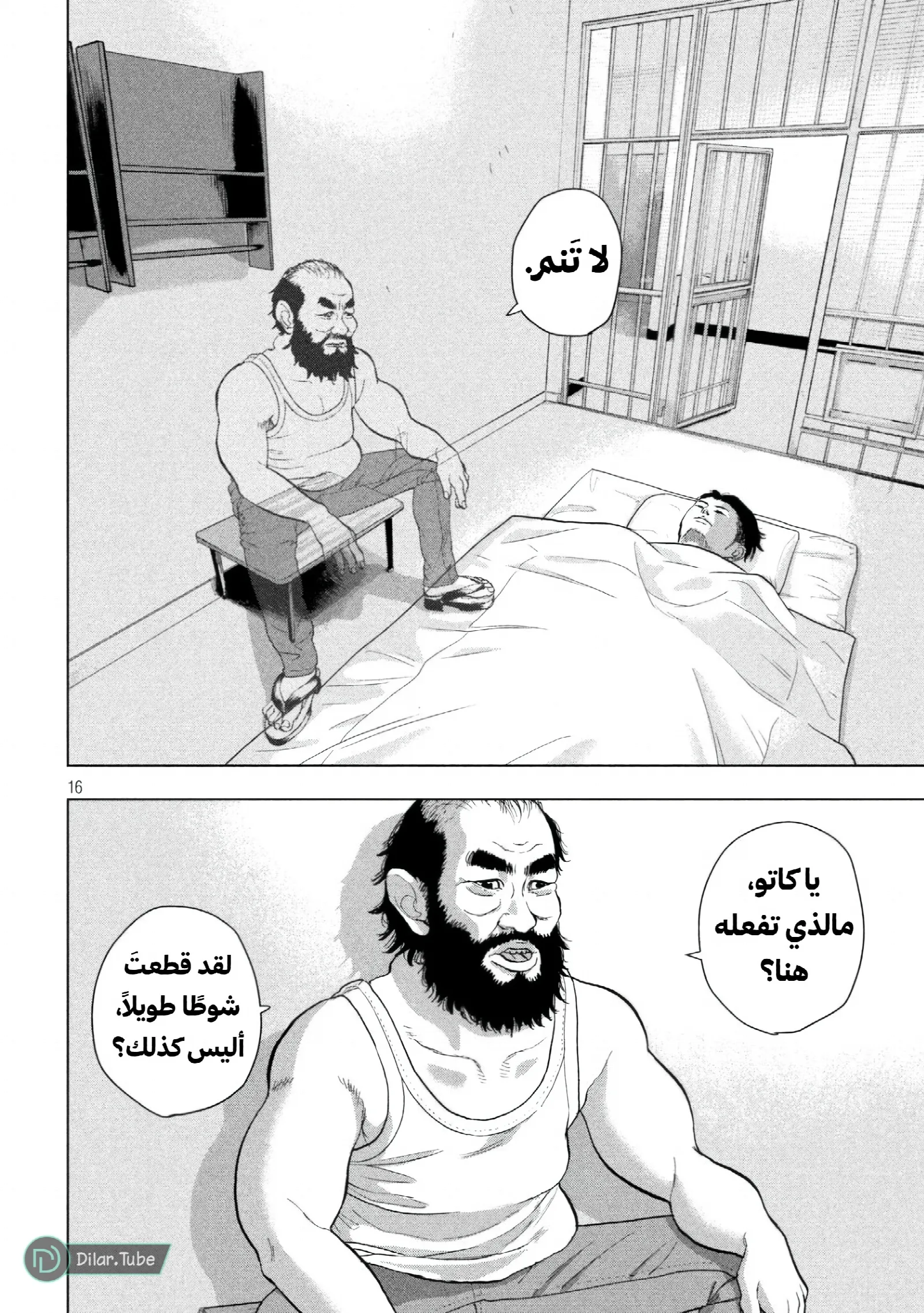 الصفحة 17