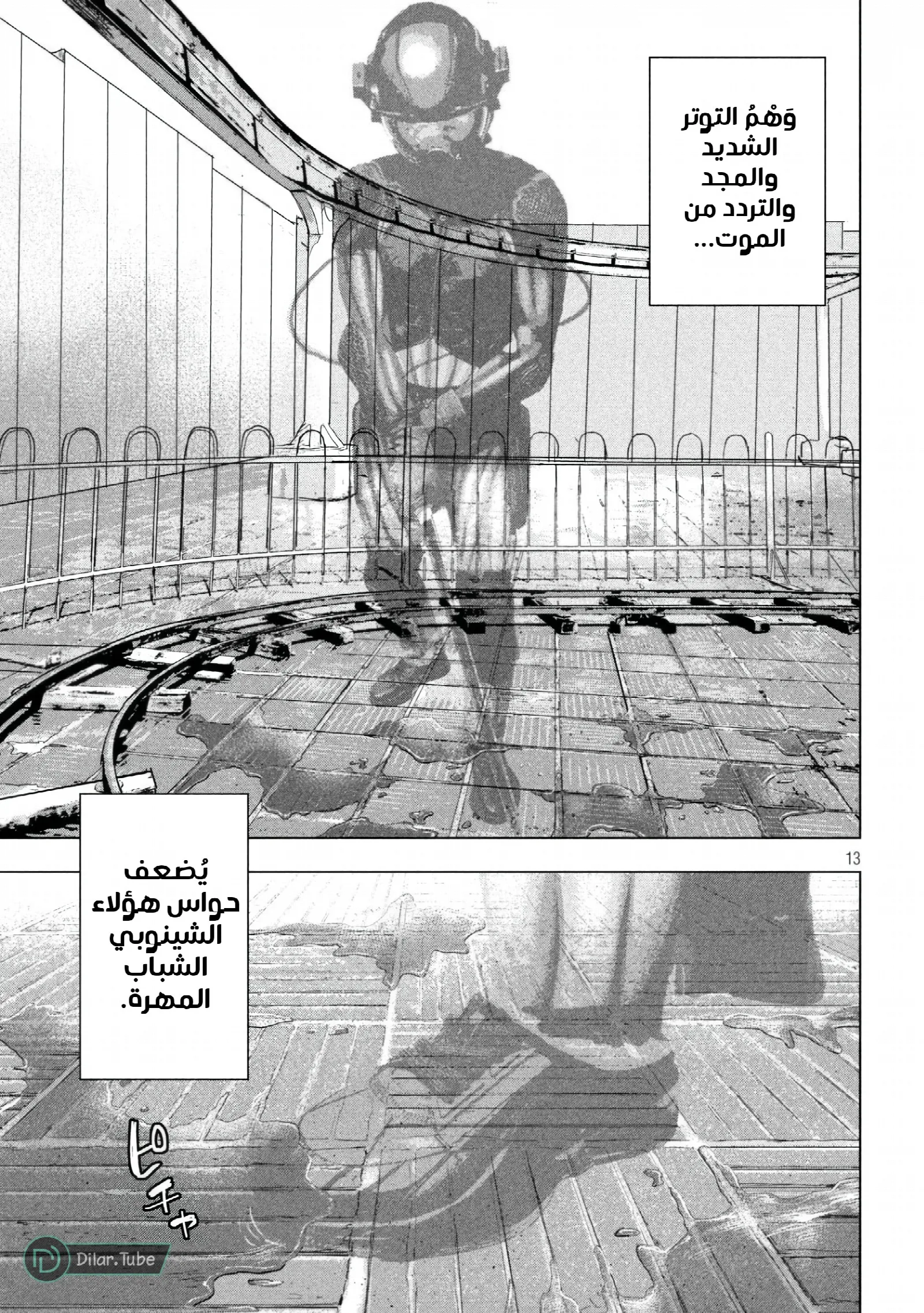 الصفحة 13