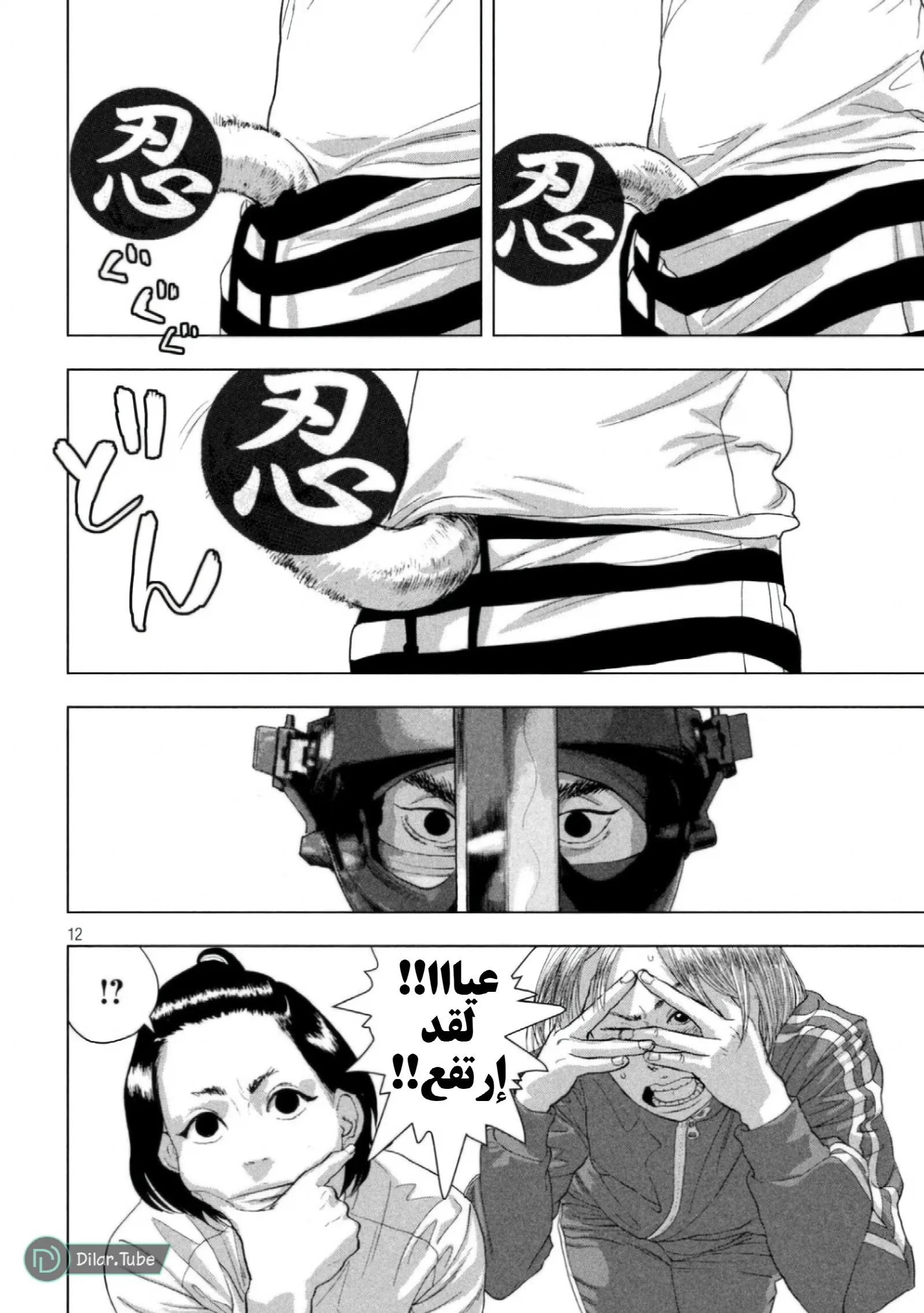 الصفحة 12