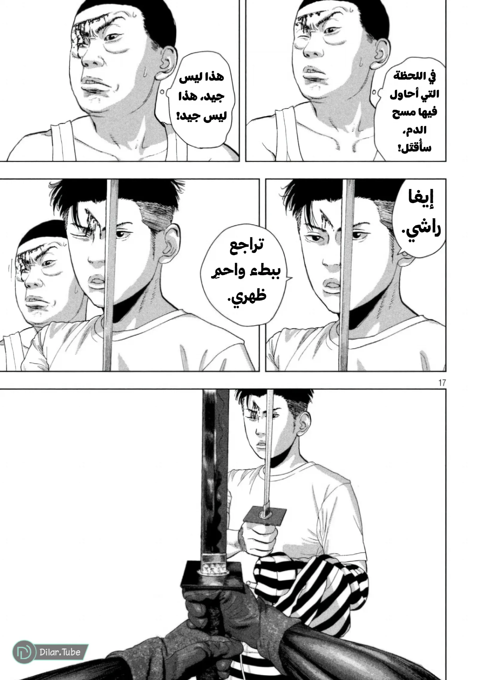 الصفحة 17