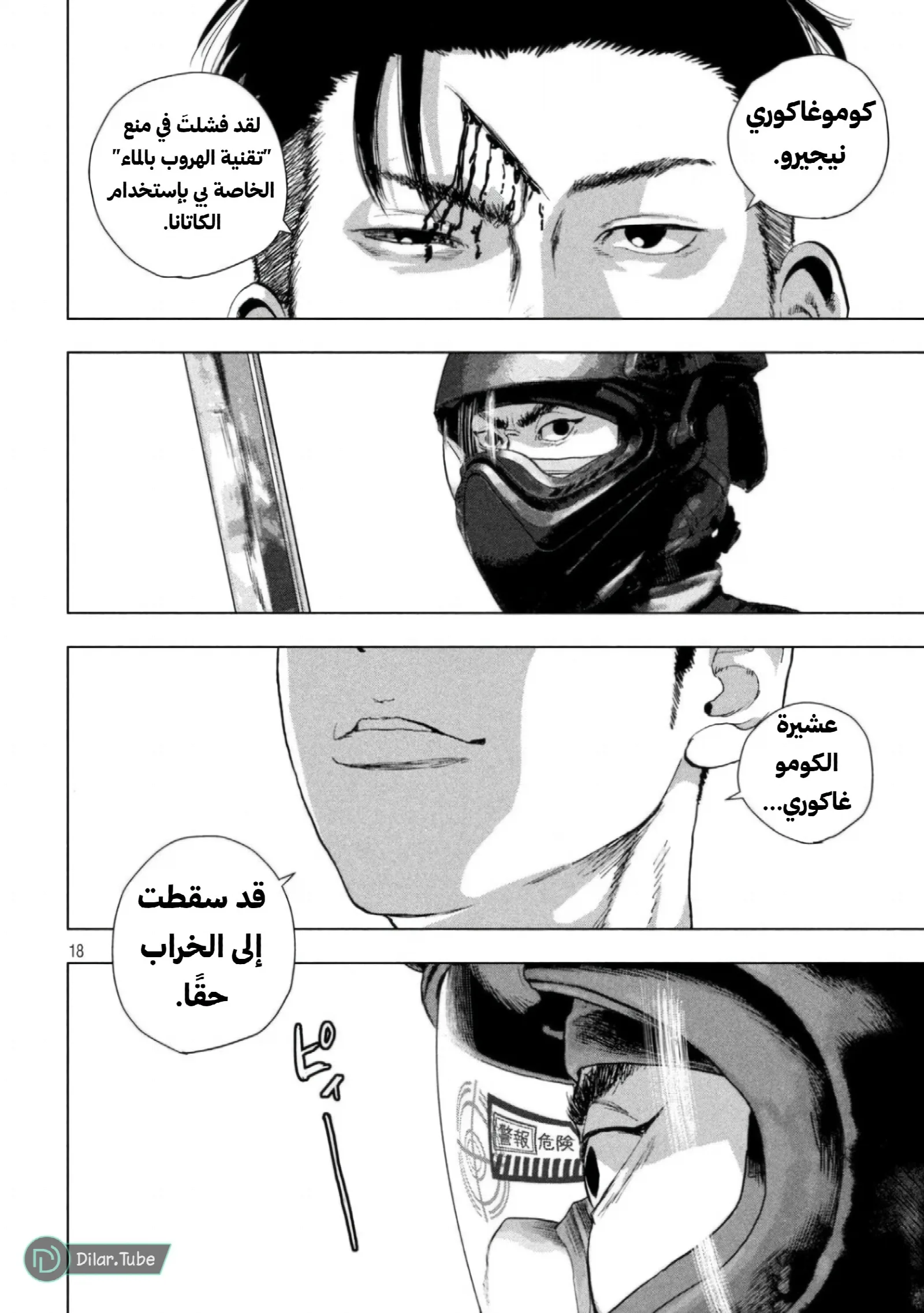 الصفحة 18
