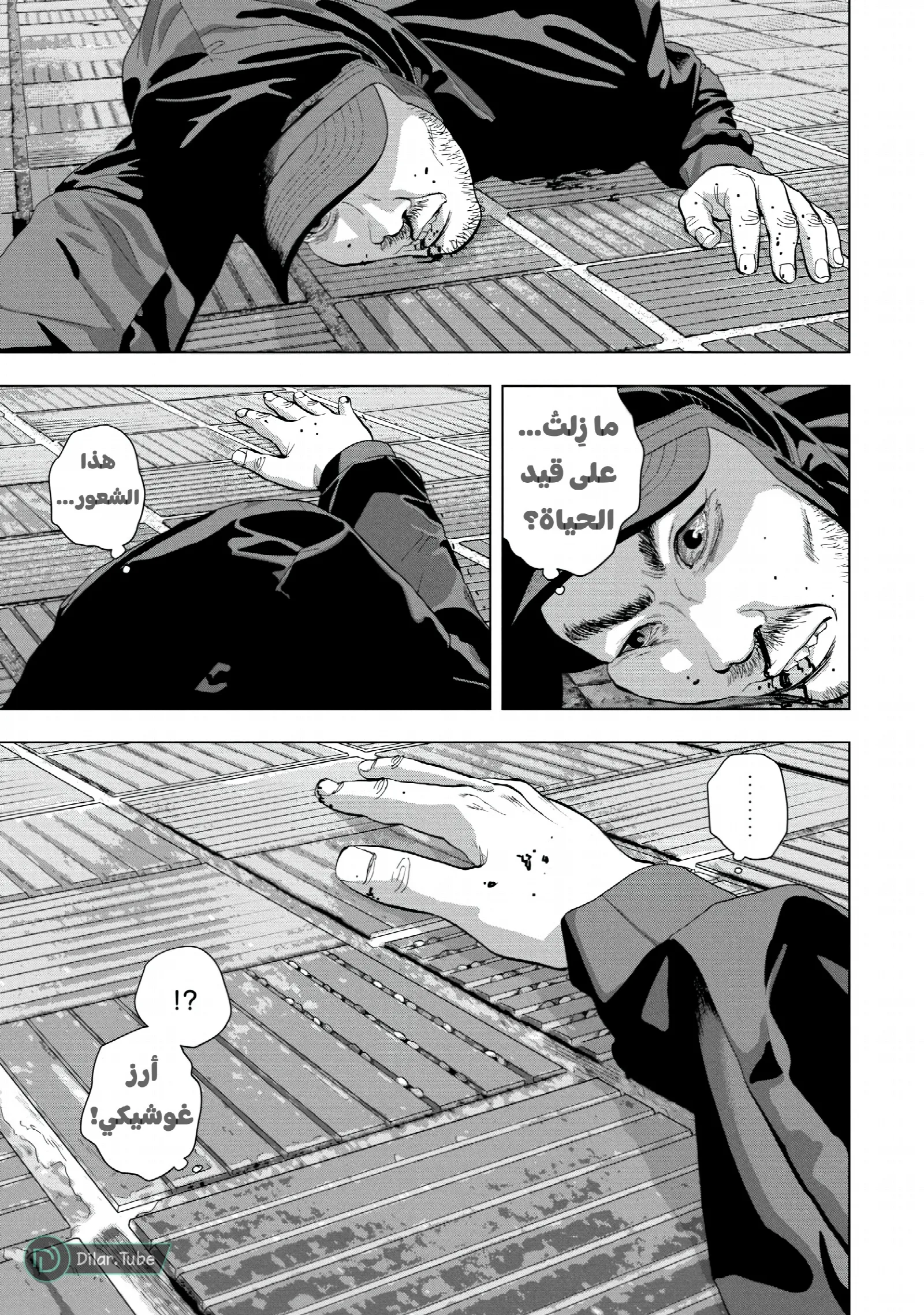الصفحة 5