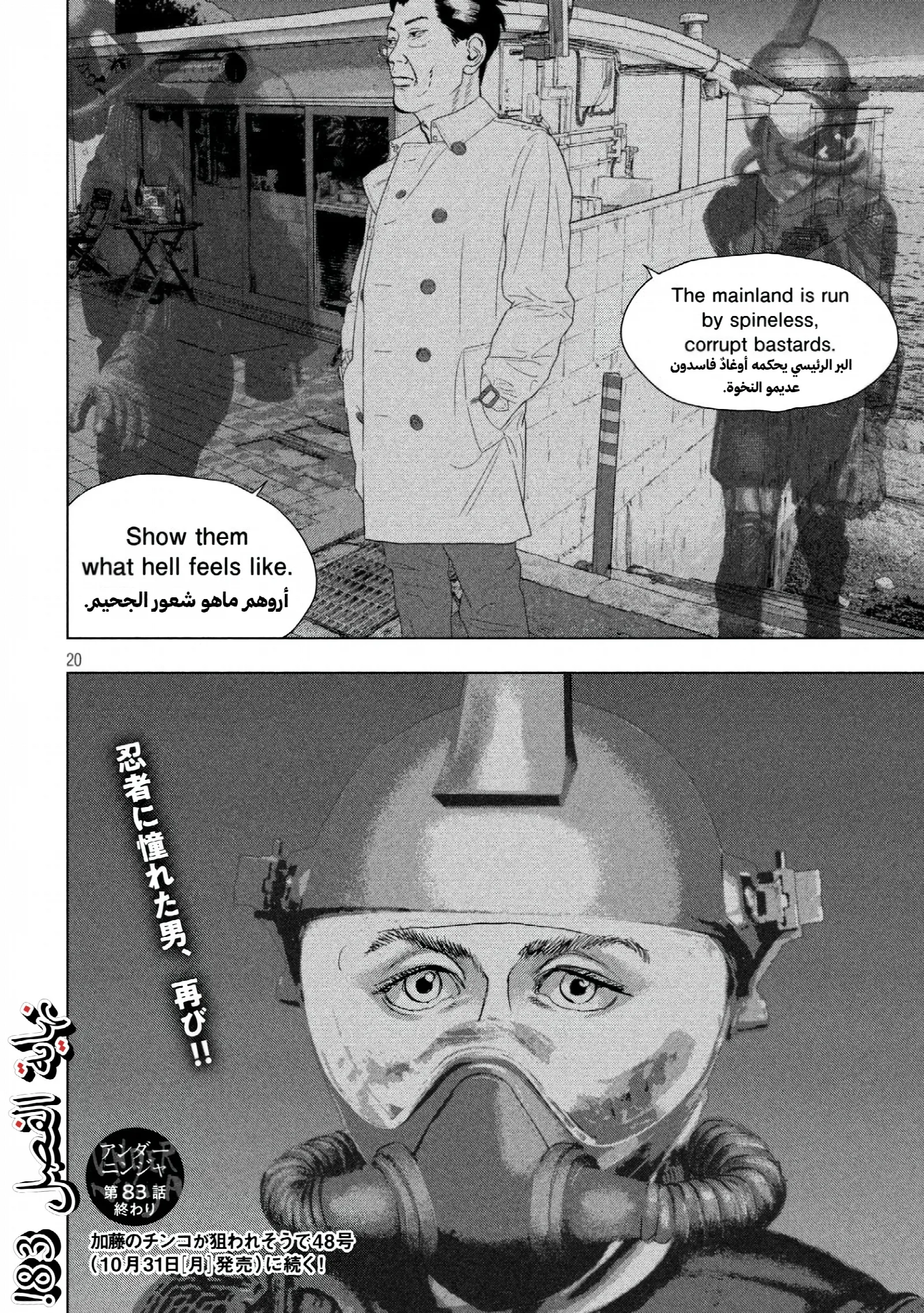 الصفحة 20