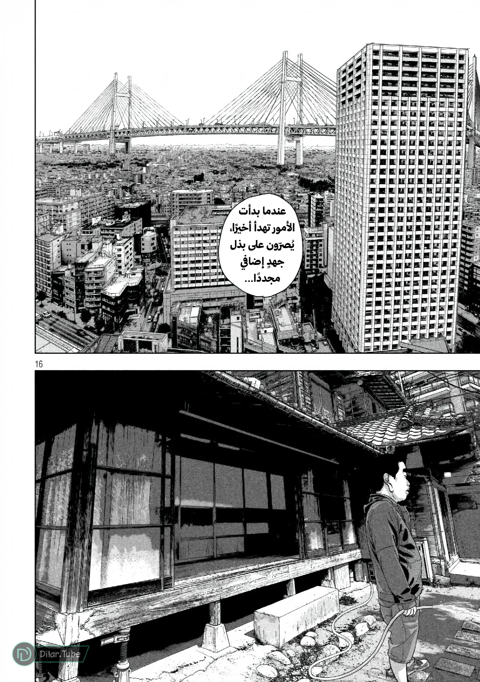 الصفحة 17