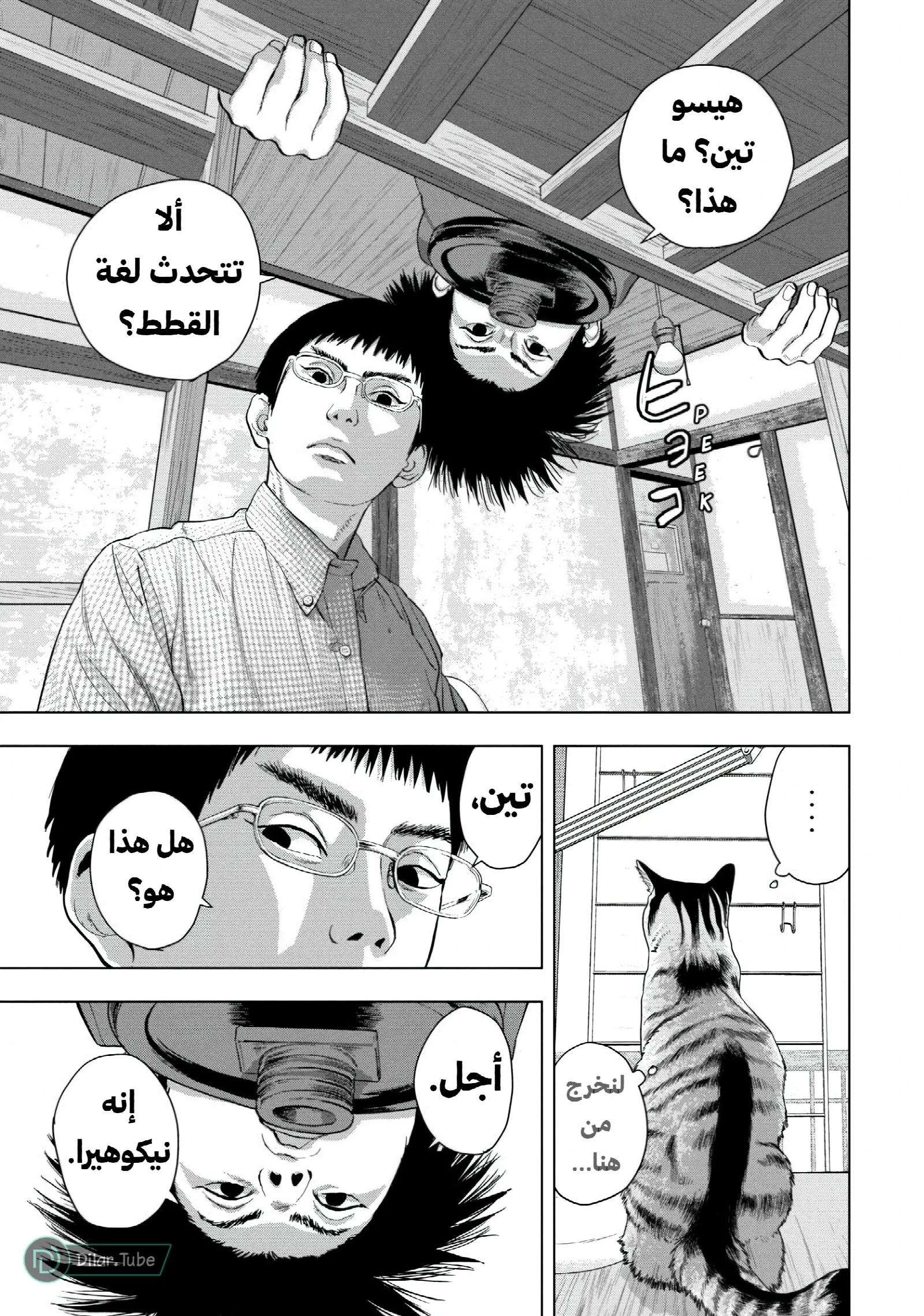 الصفحة 17