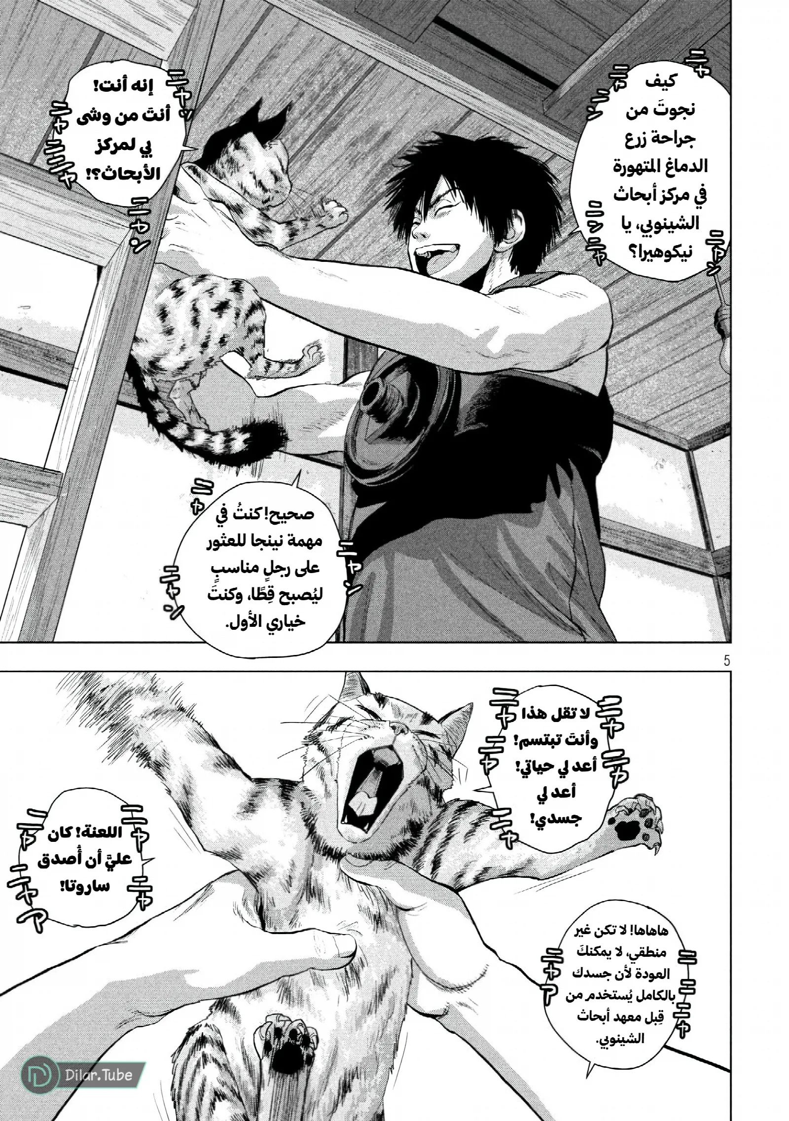 الصفحة 6
