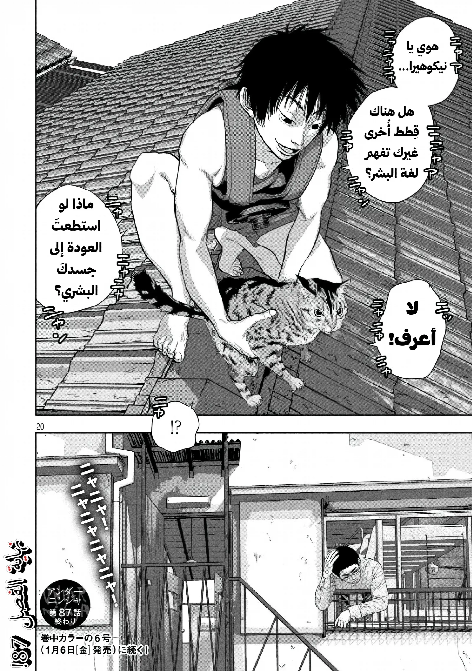 الصفحة 21