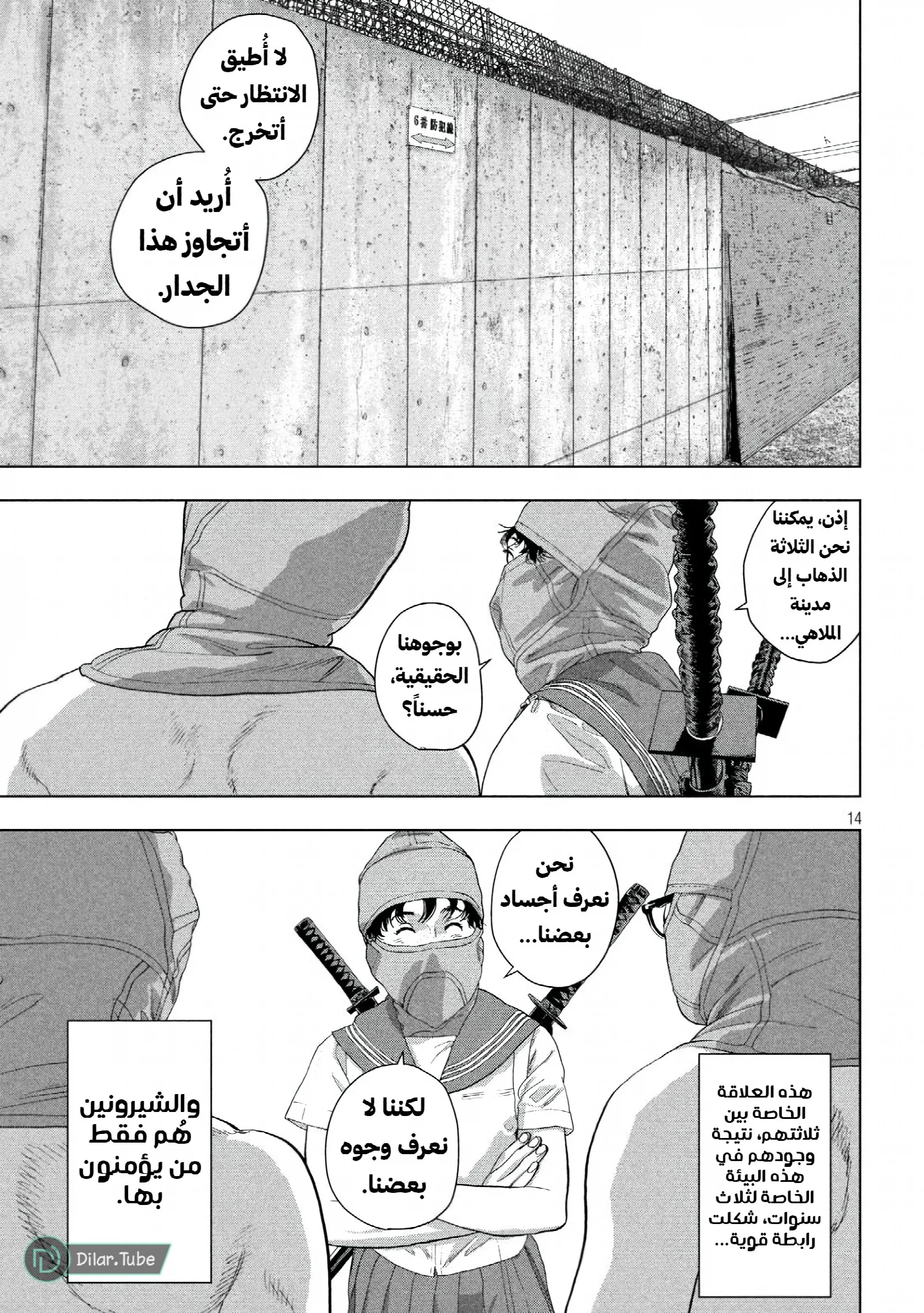 الصفحة 13