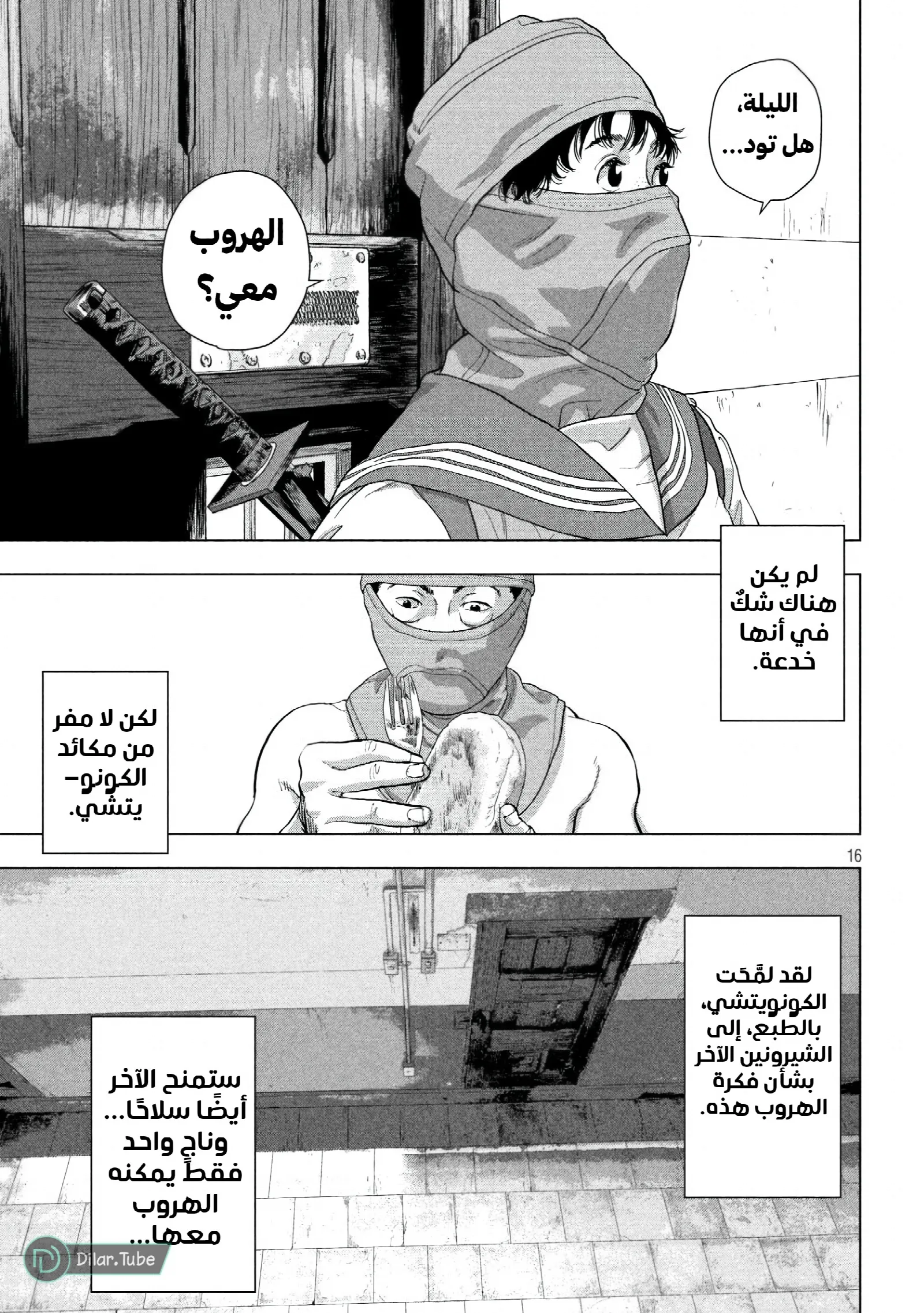 الصفحة 15