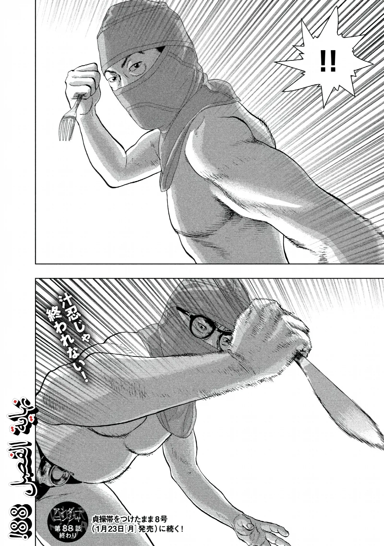 الصفحة 19