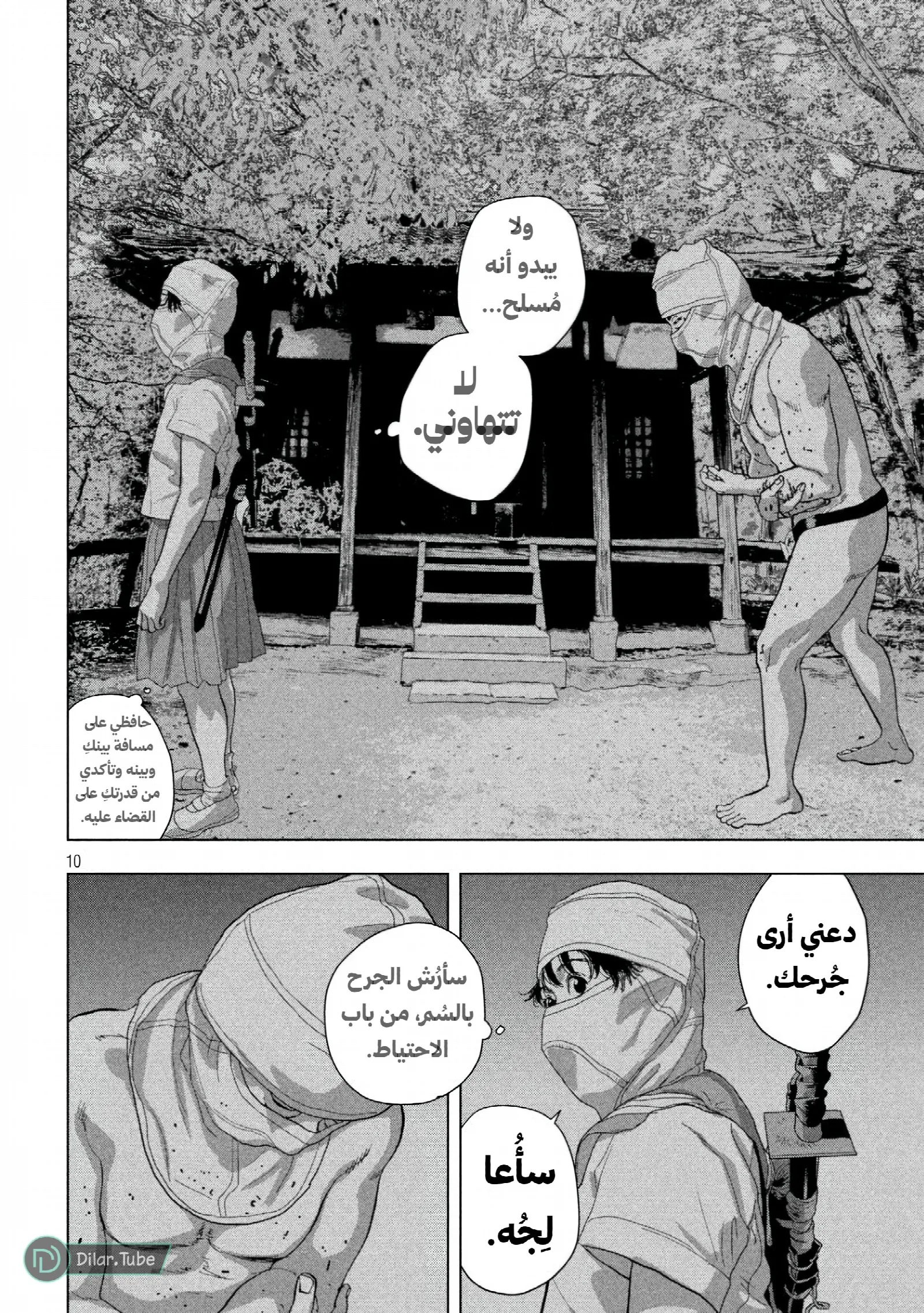 الصفحة 11