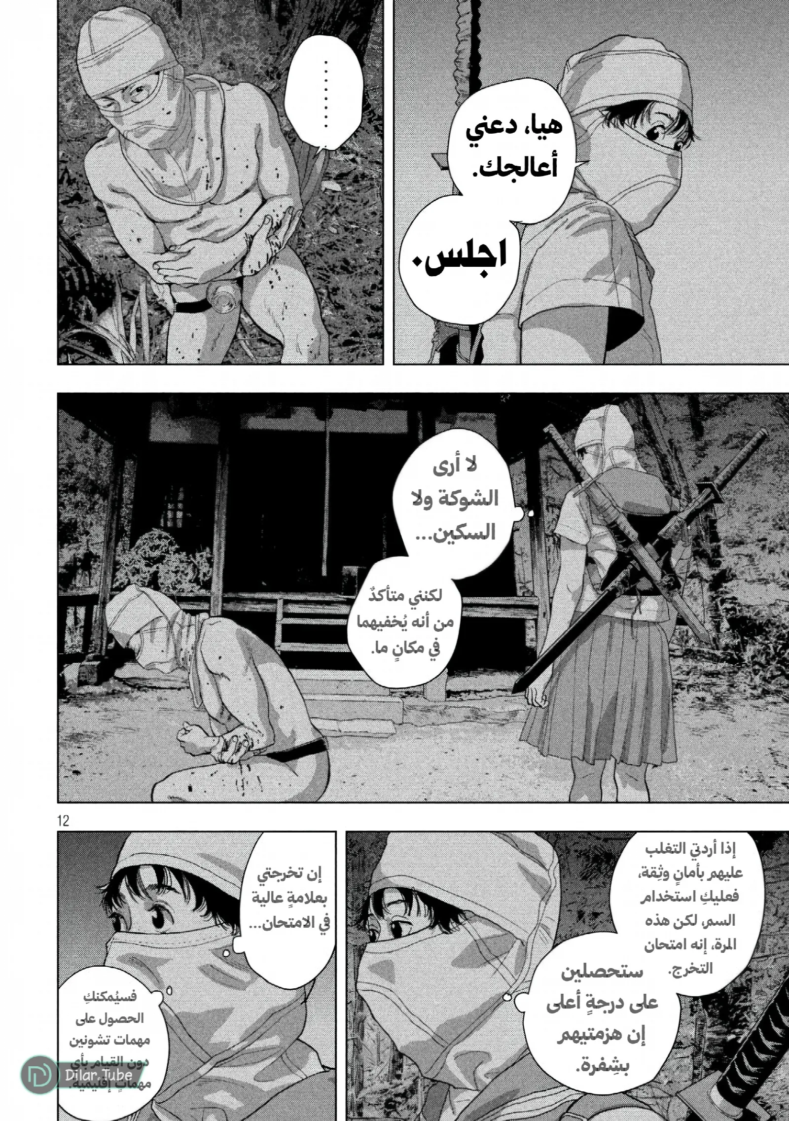 الصفحة 13