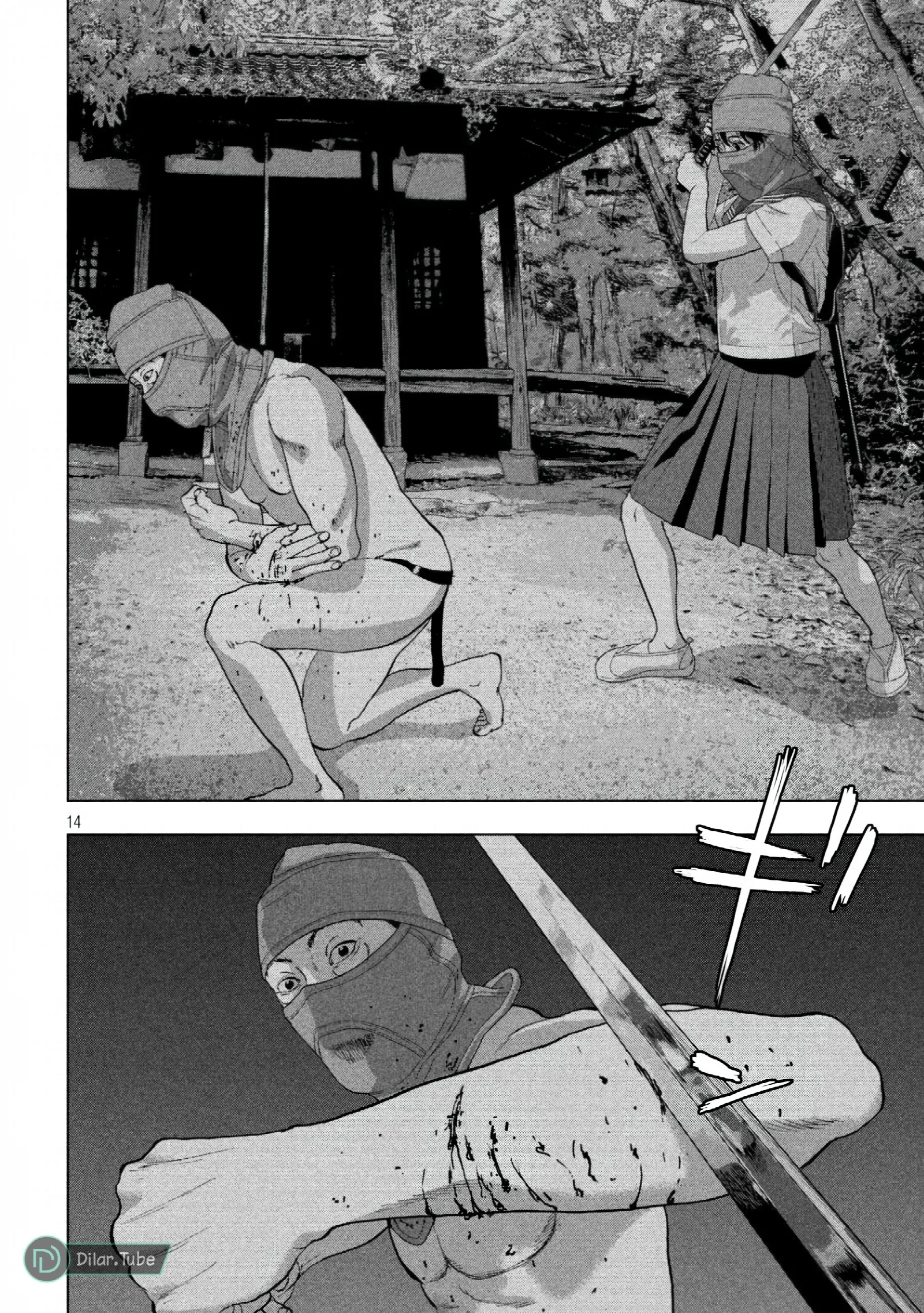 الصفحة 15