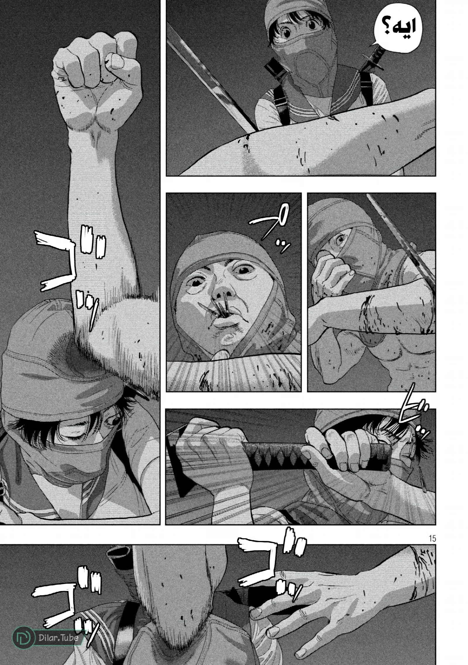 الصفحة 16