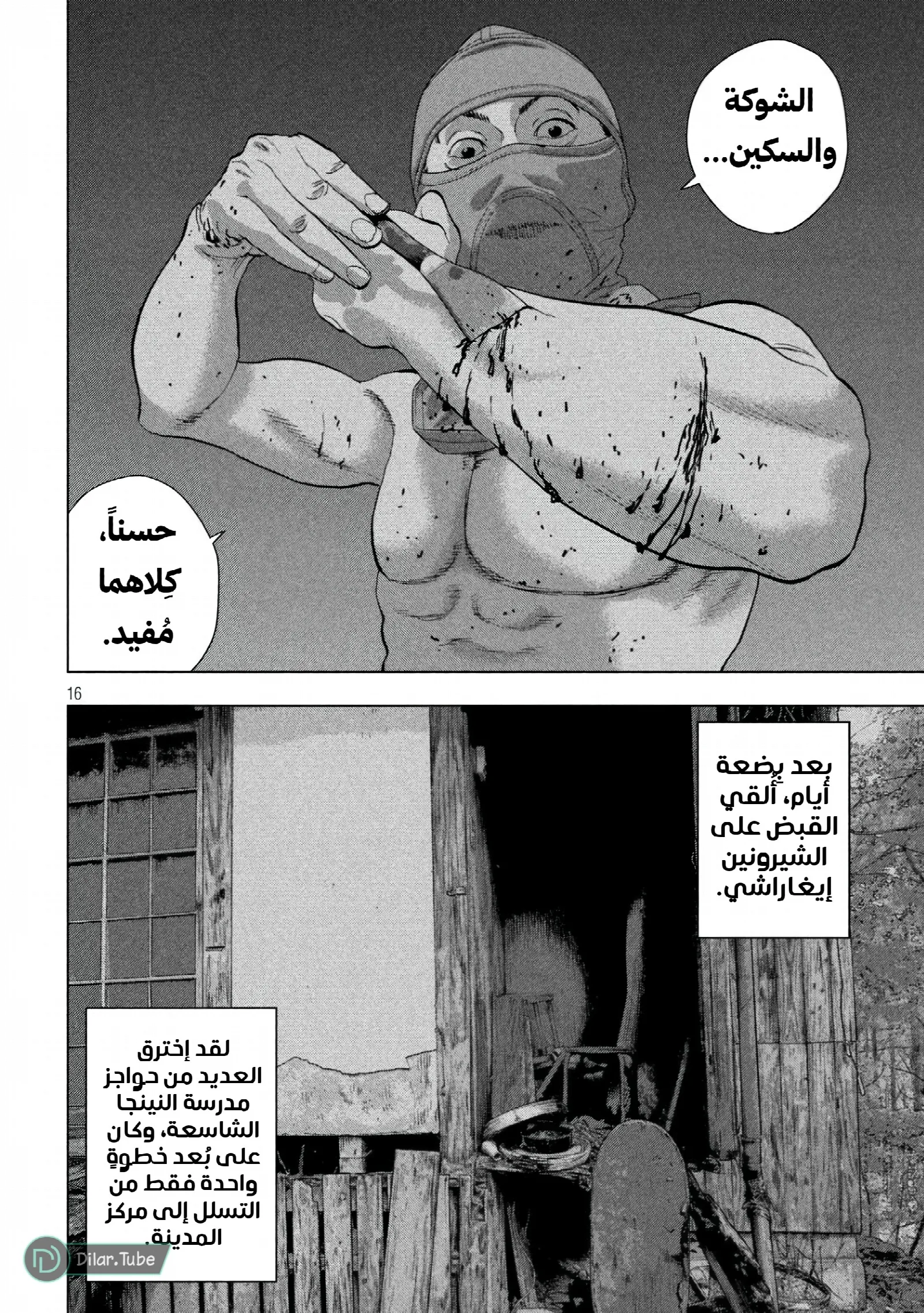 الصفحة 17