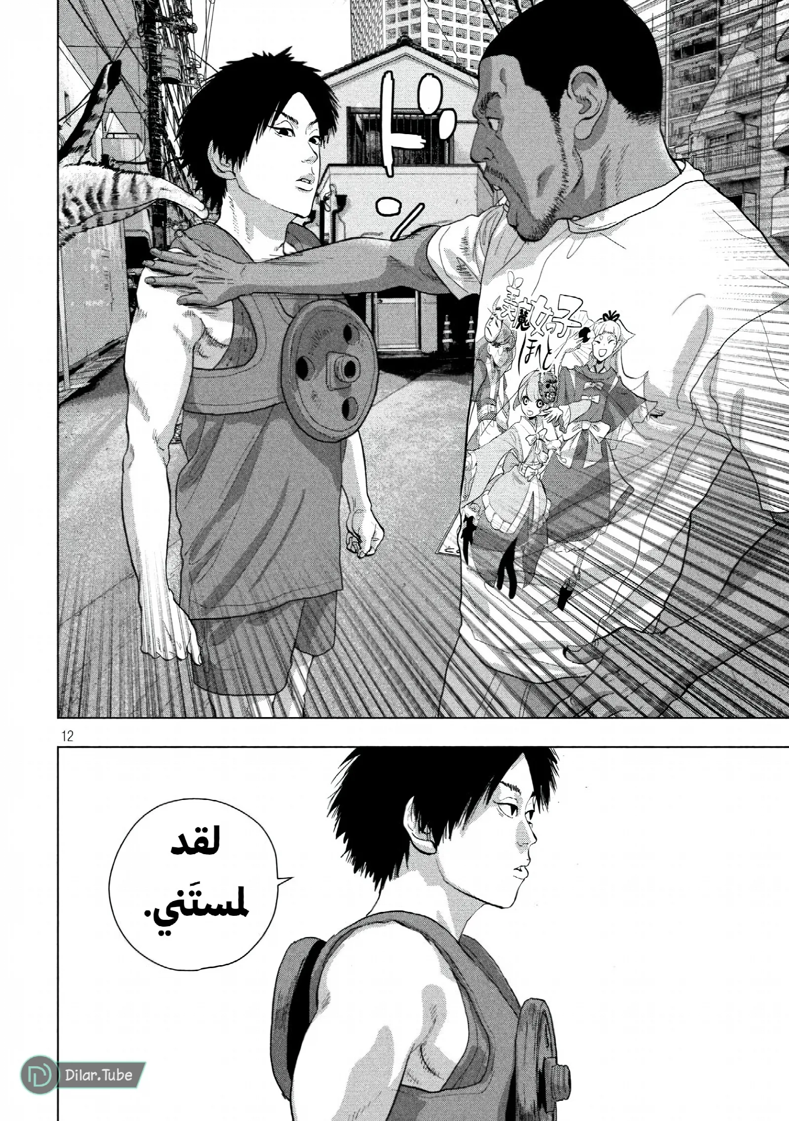 الصفحة 12