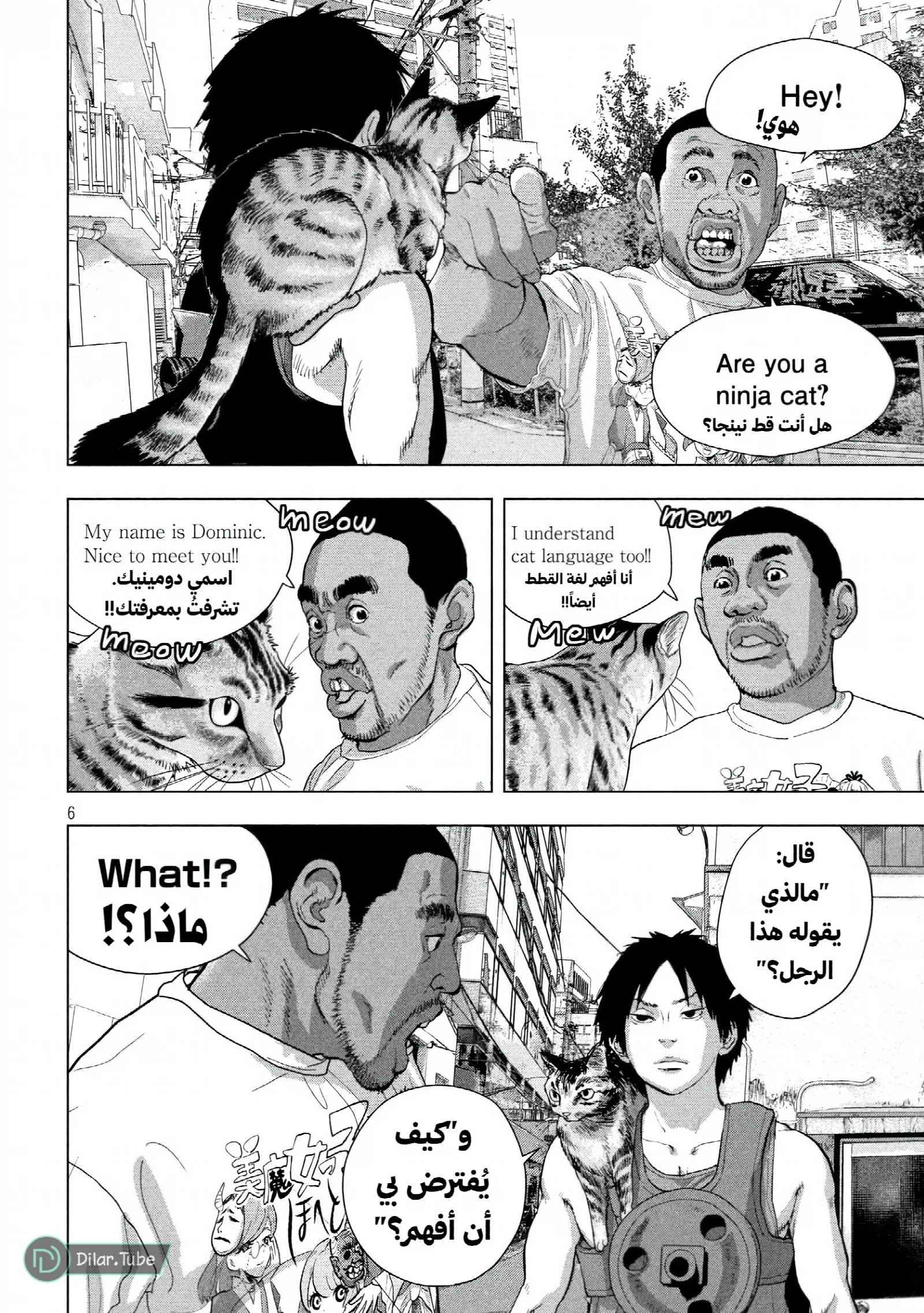 الصفحة 8