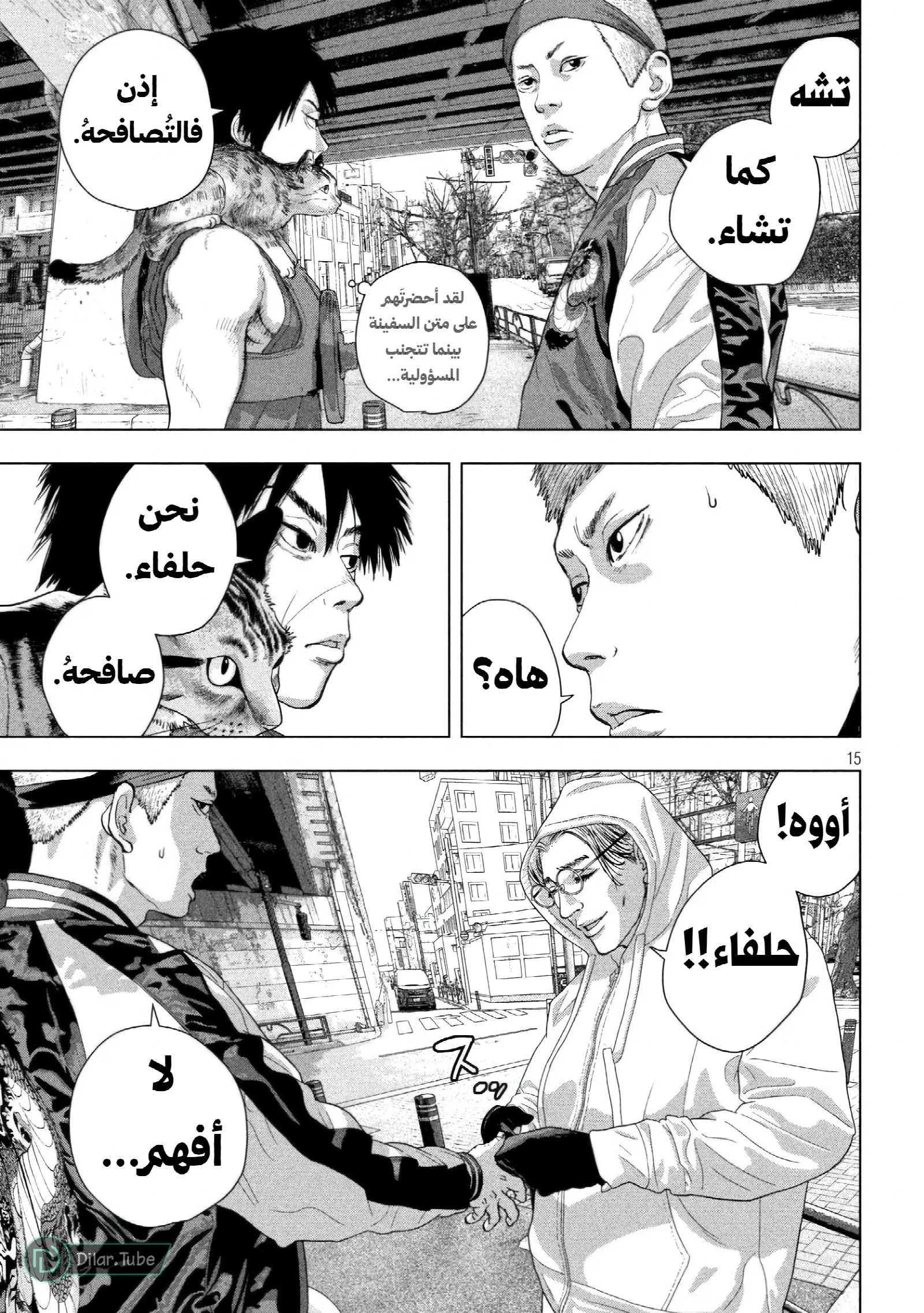 الصفحة 17