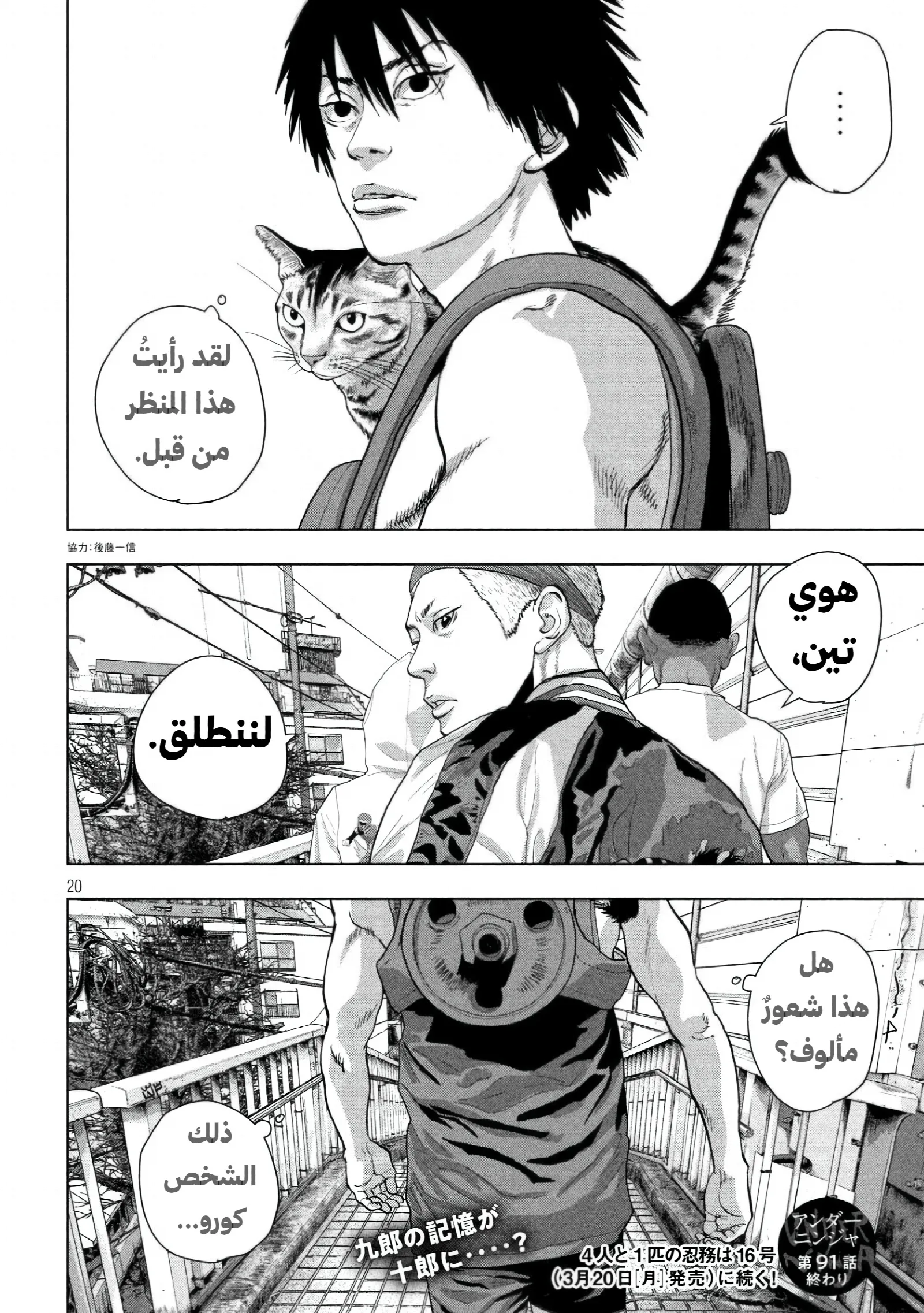 الصفحة 21