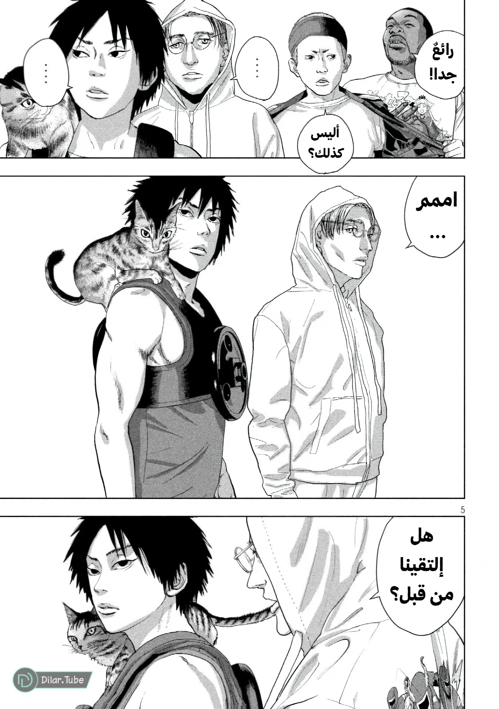 الصفحة 5