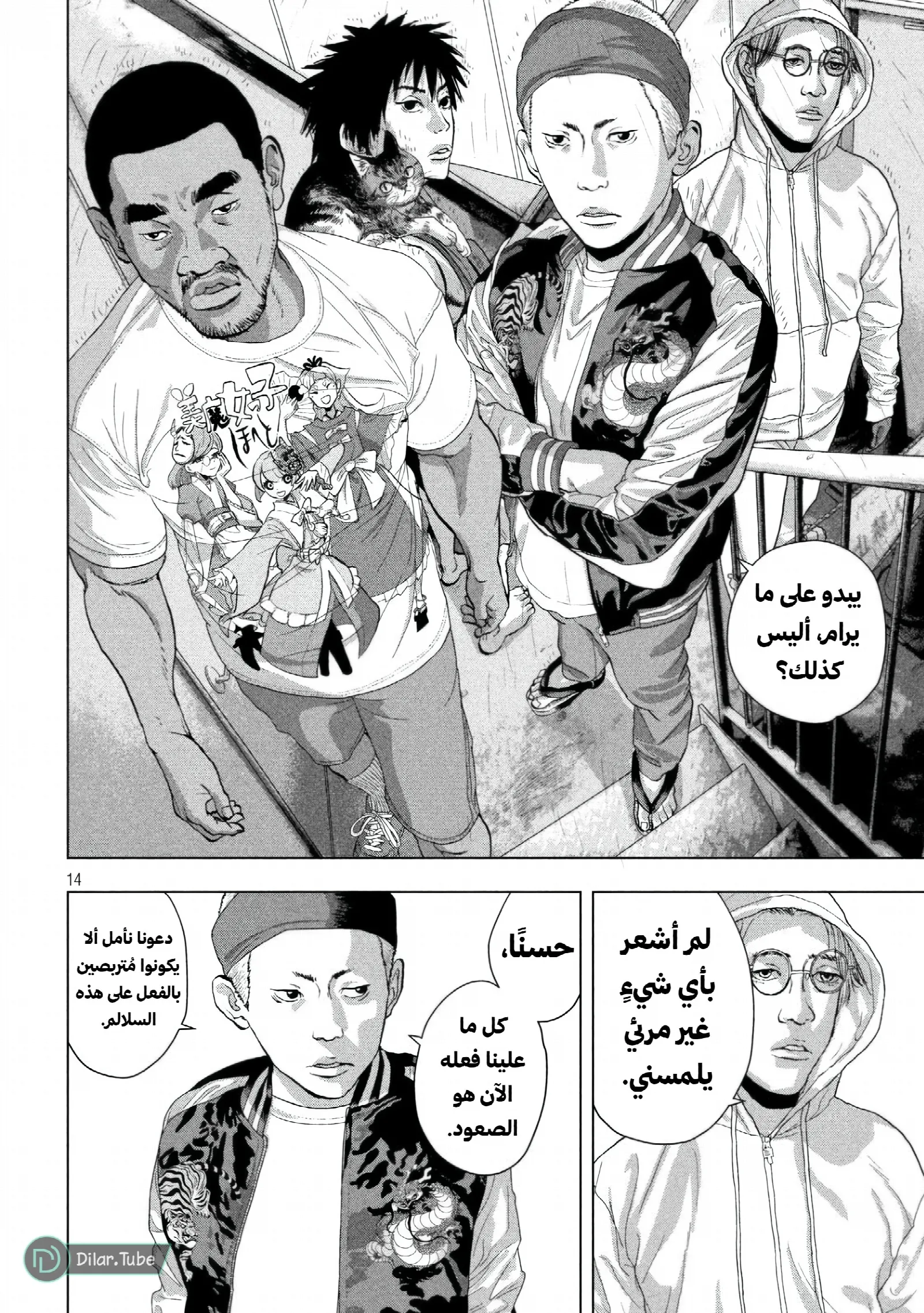 الصفحة 13