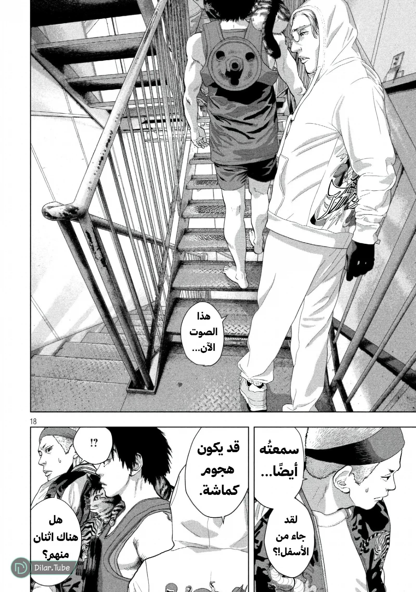 الصفحة 17