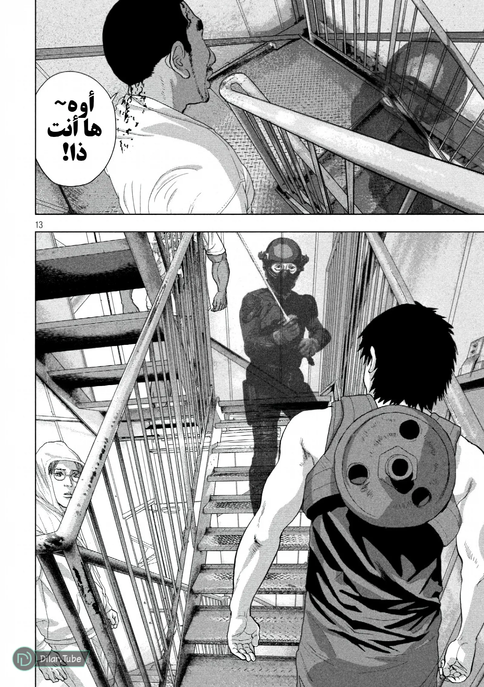 الصفحة 14