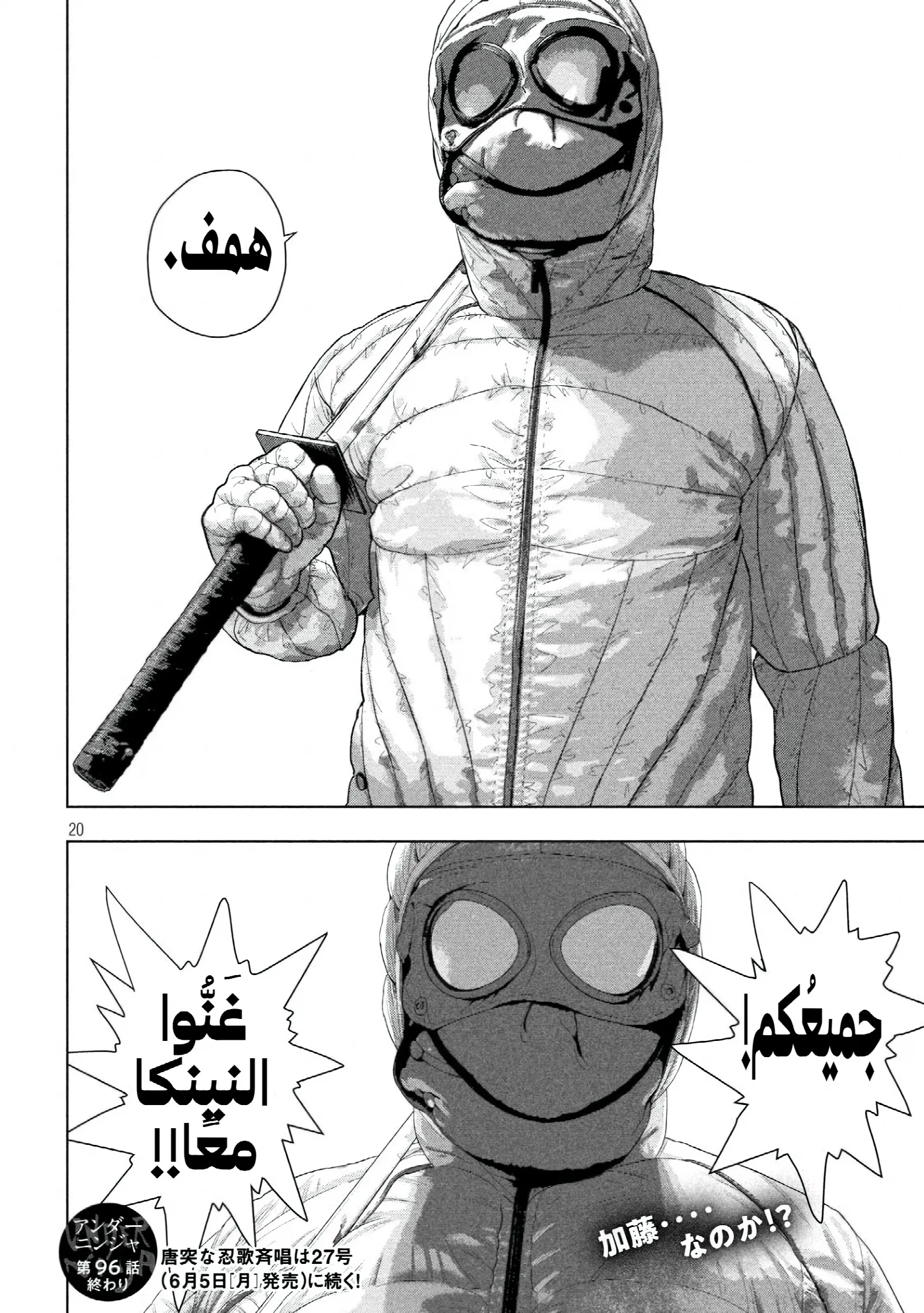الصفحة 19