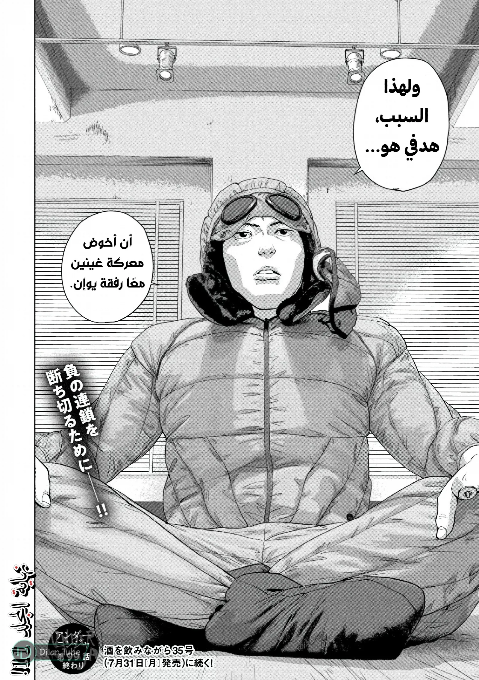الصفحة 19