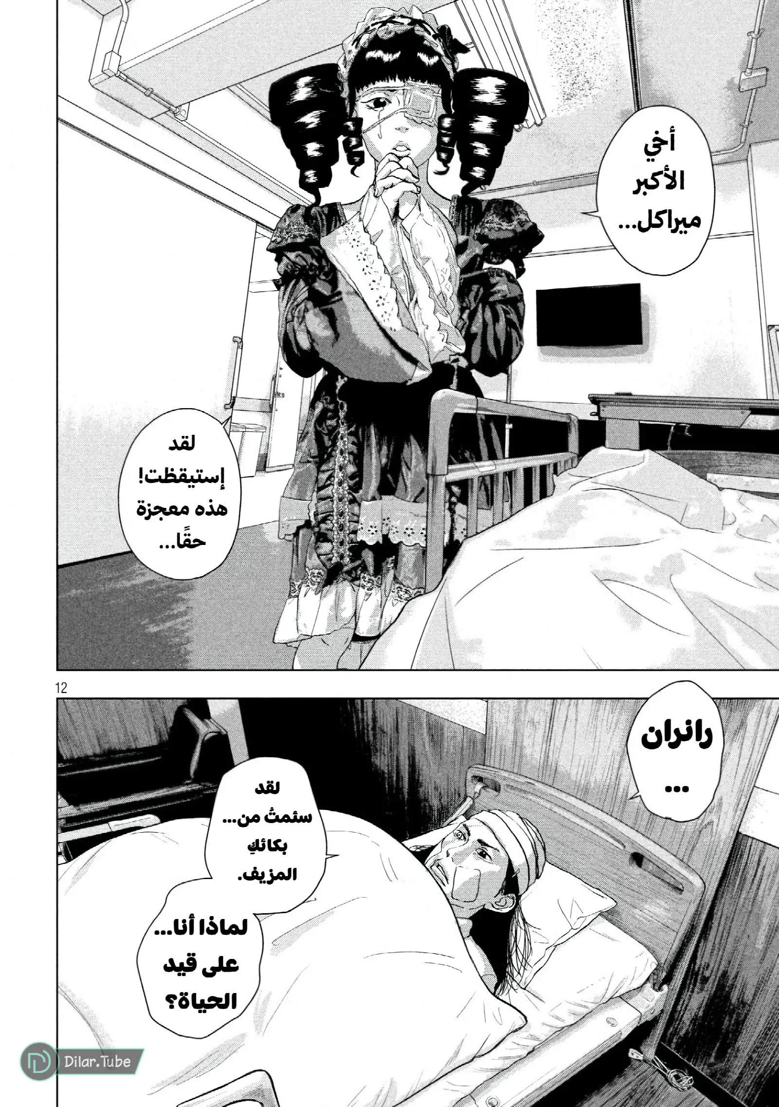 الصفحة 13