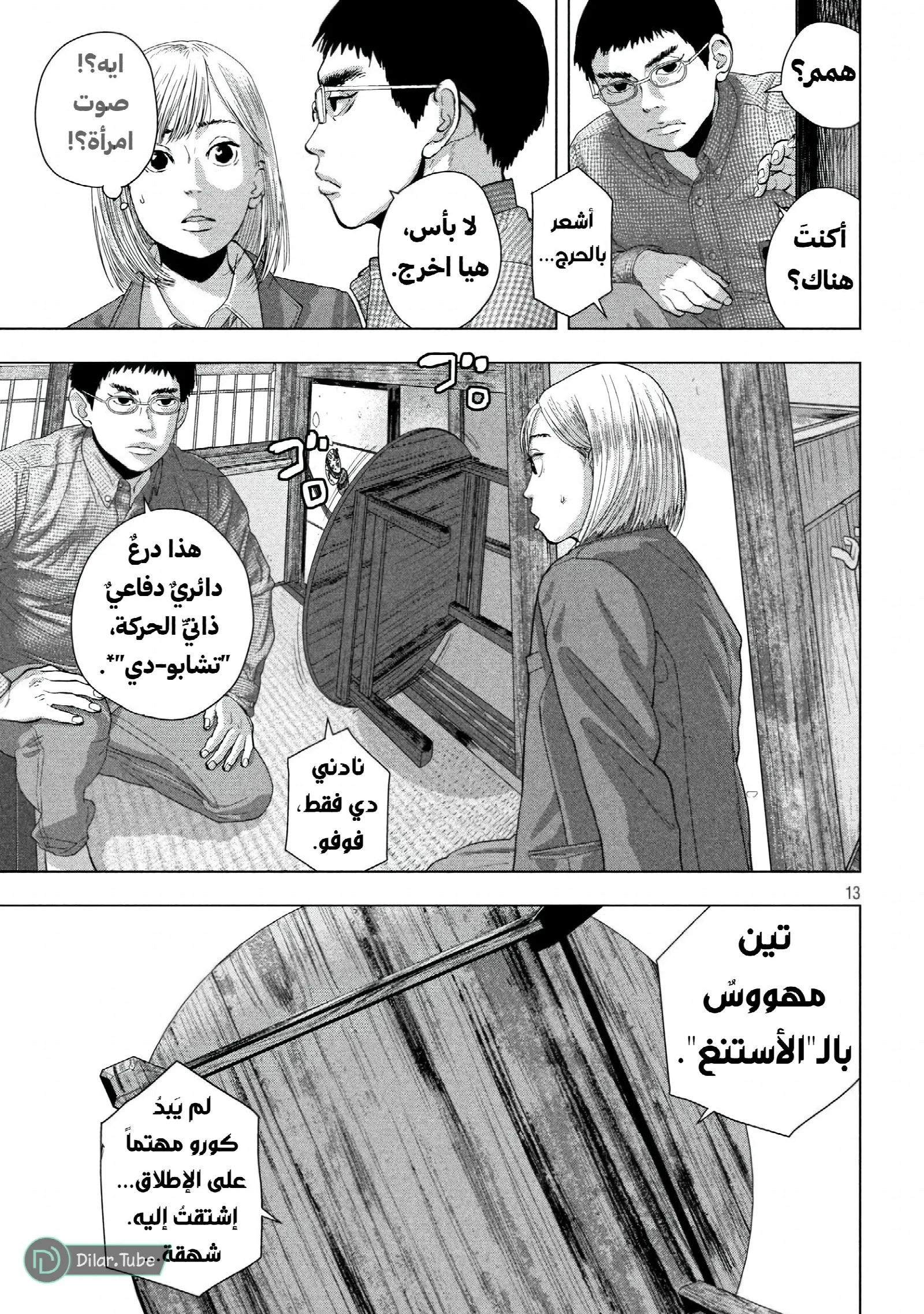 الصفحة 13