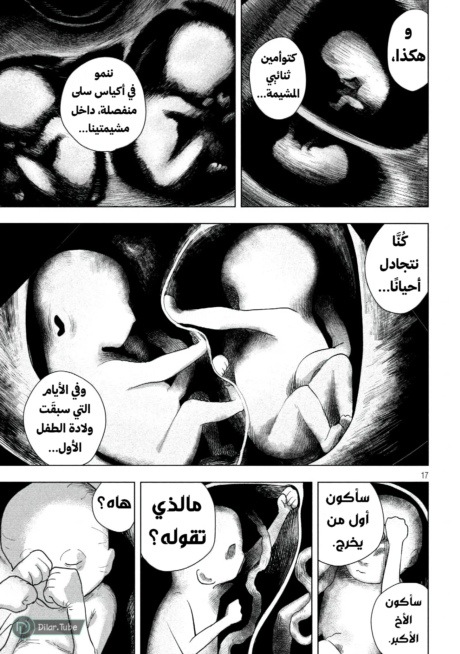 الصفحة 17