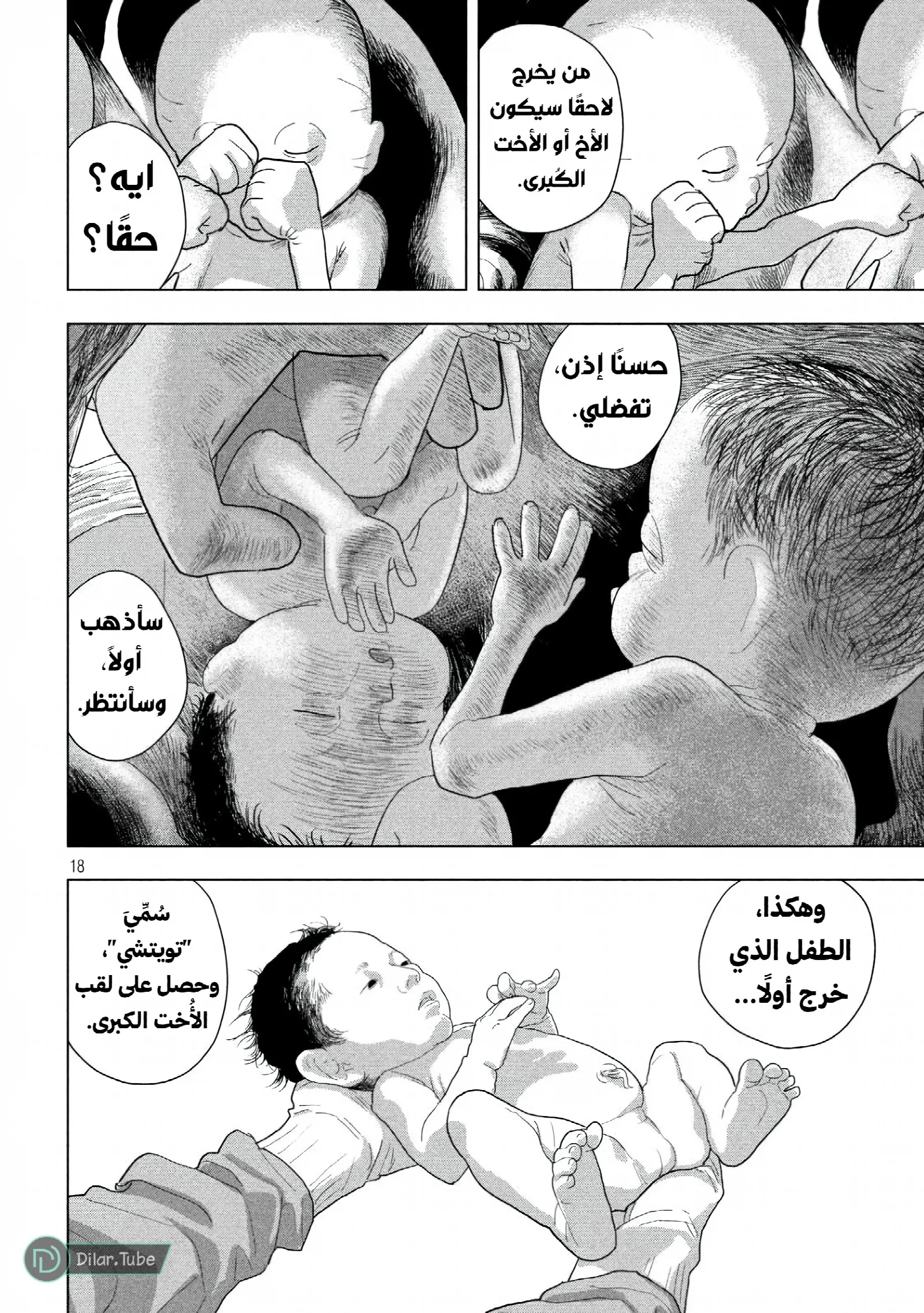 الصفحة 18